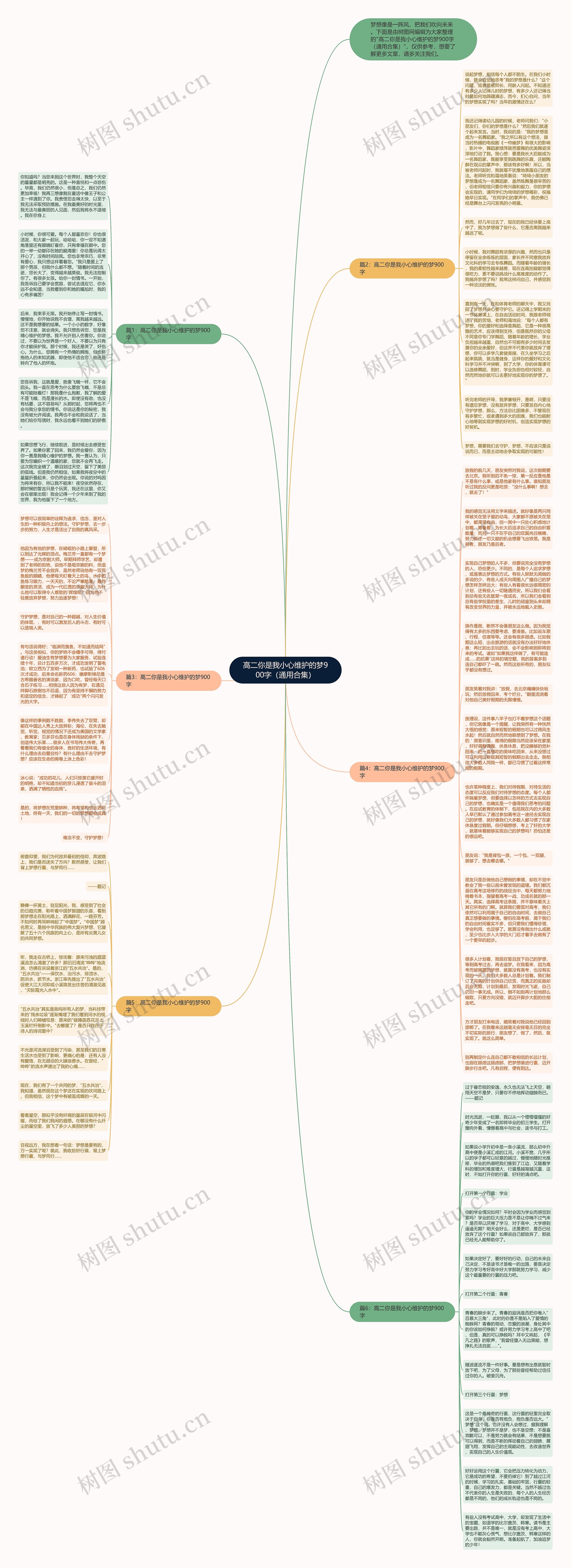 高二你是我小心维护的梦900字（通用合集）思维导图