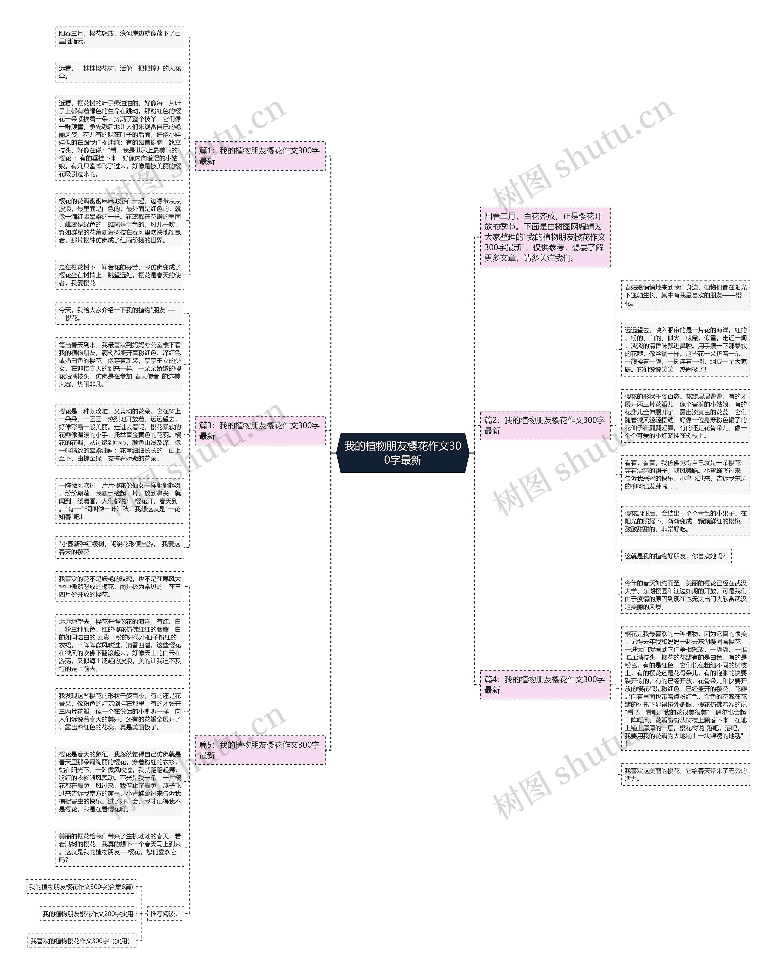 我的植物朋友樱花作文300字最新思维导图