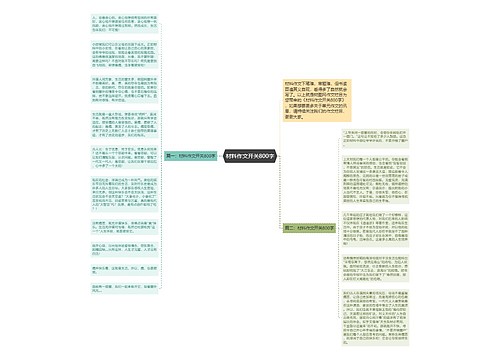 材料作文开关800字