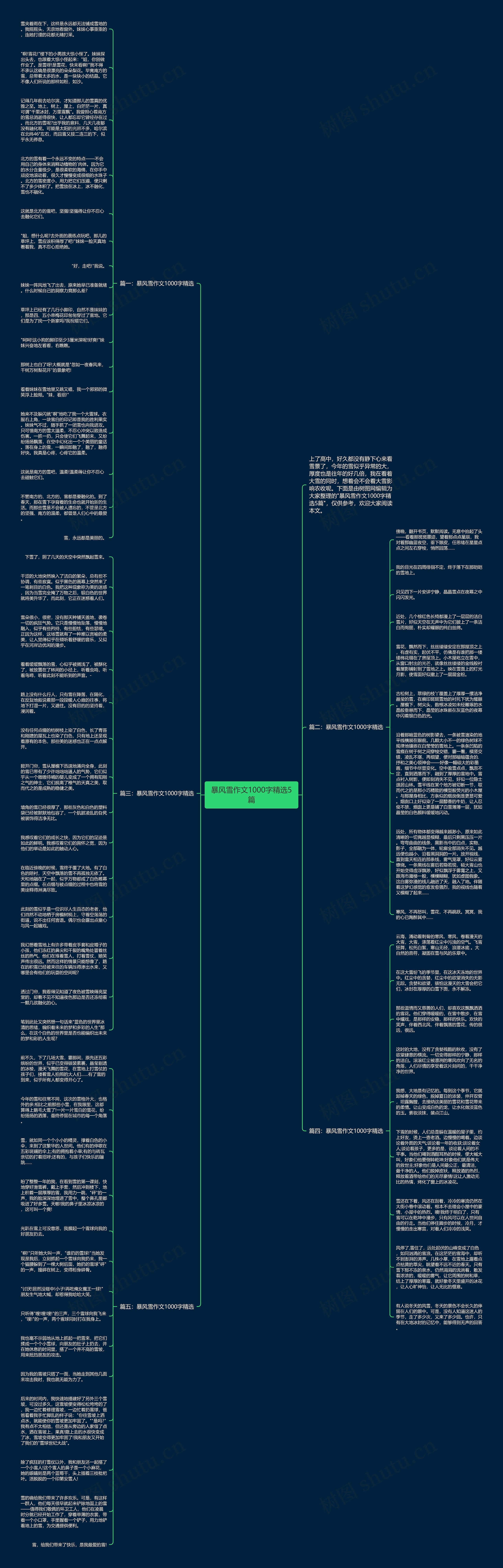 暴风雪作文1000字精选5篇思维导图
