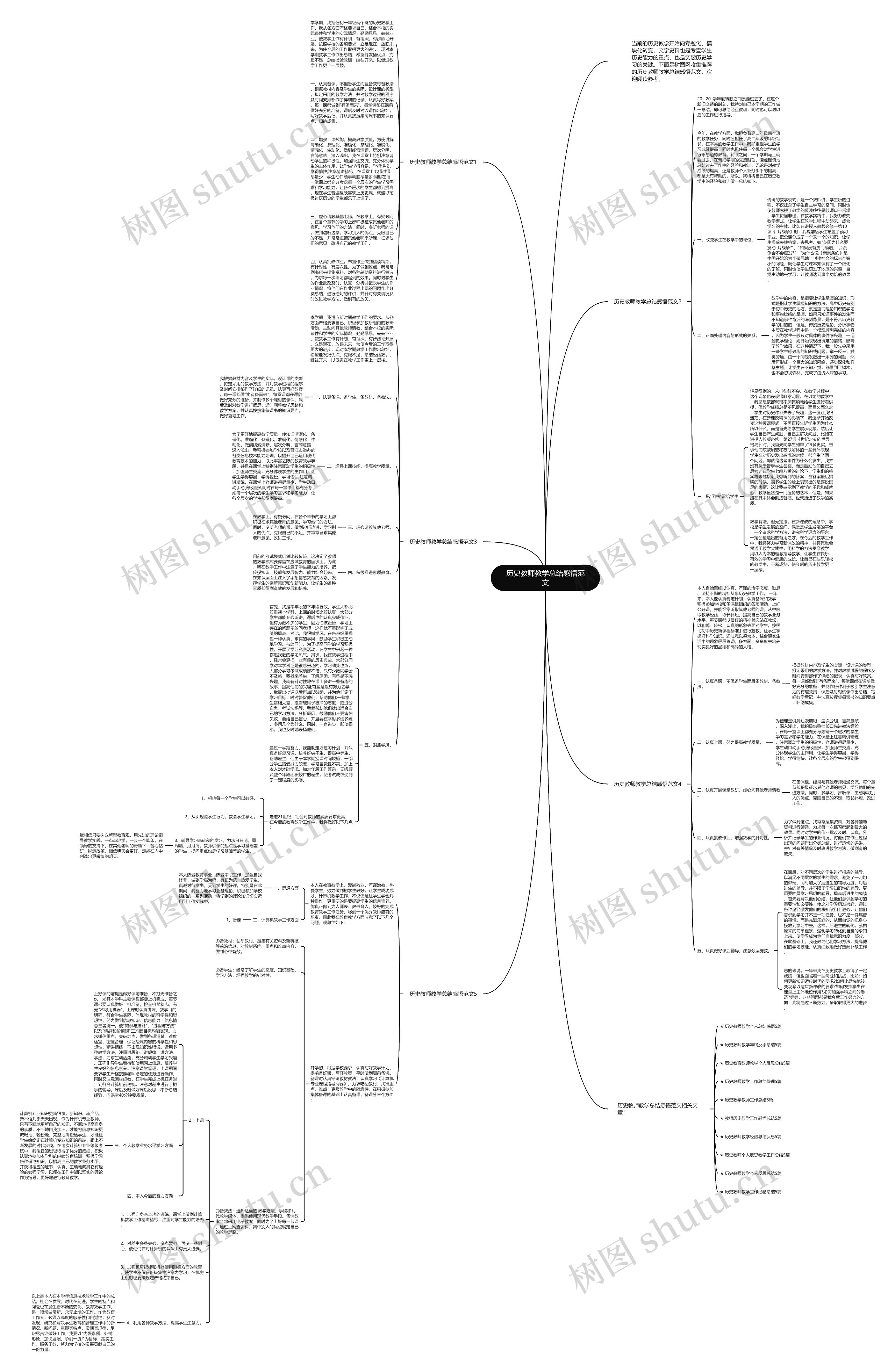 历史教师教学总结感悟范文思维导图