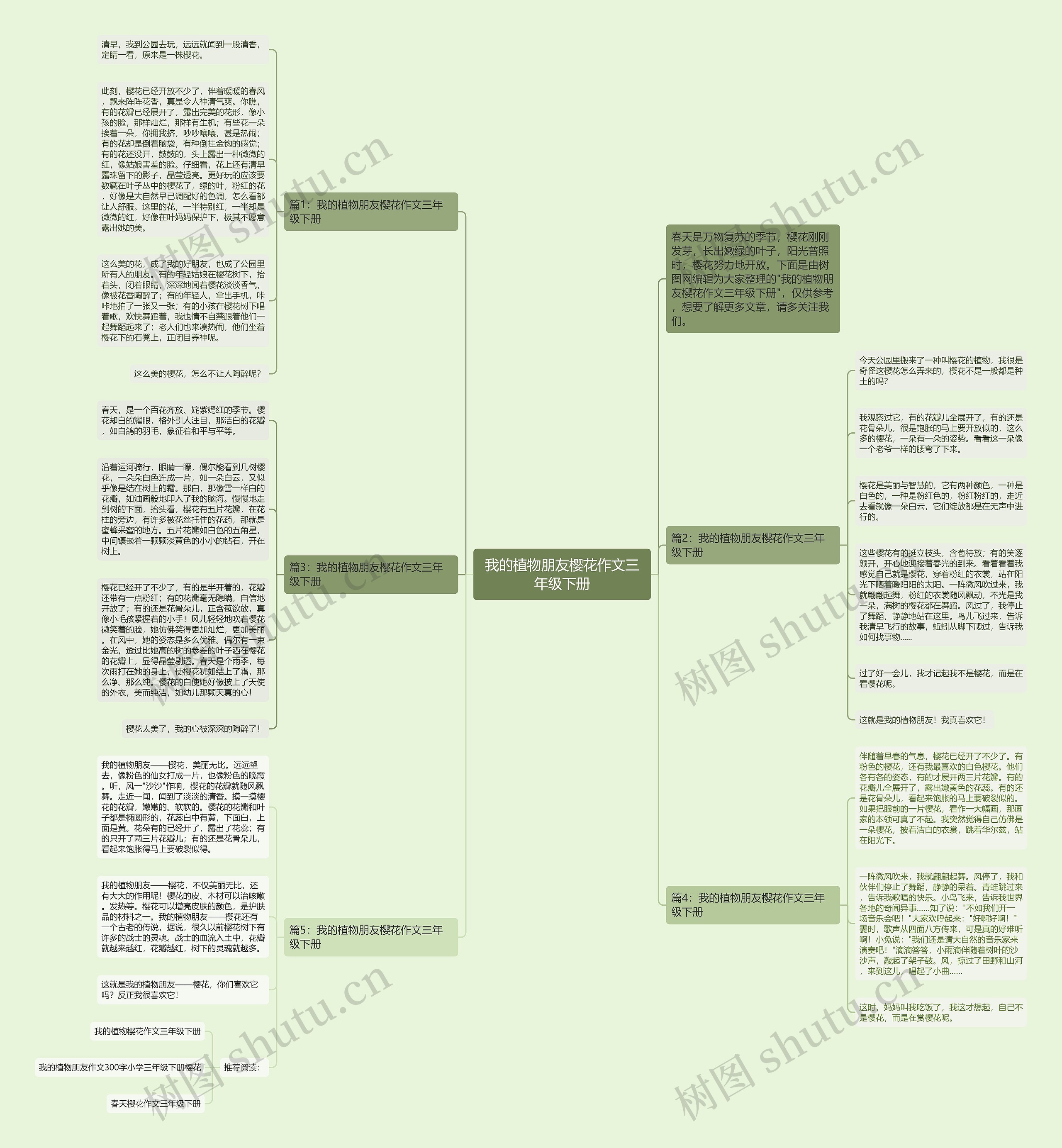 我的植物朋友樱花作文三年级下册思维导图