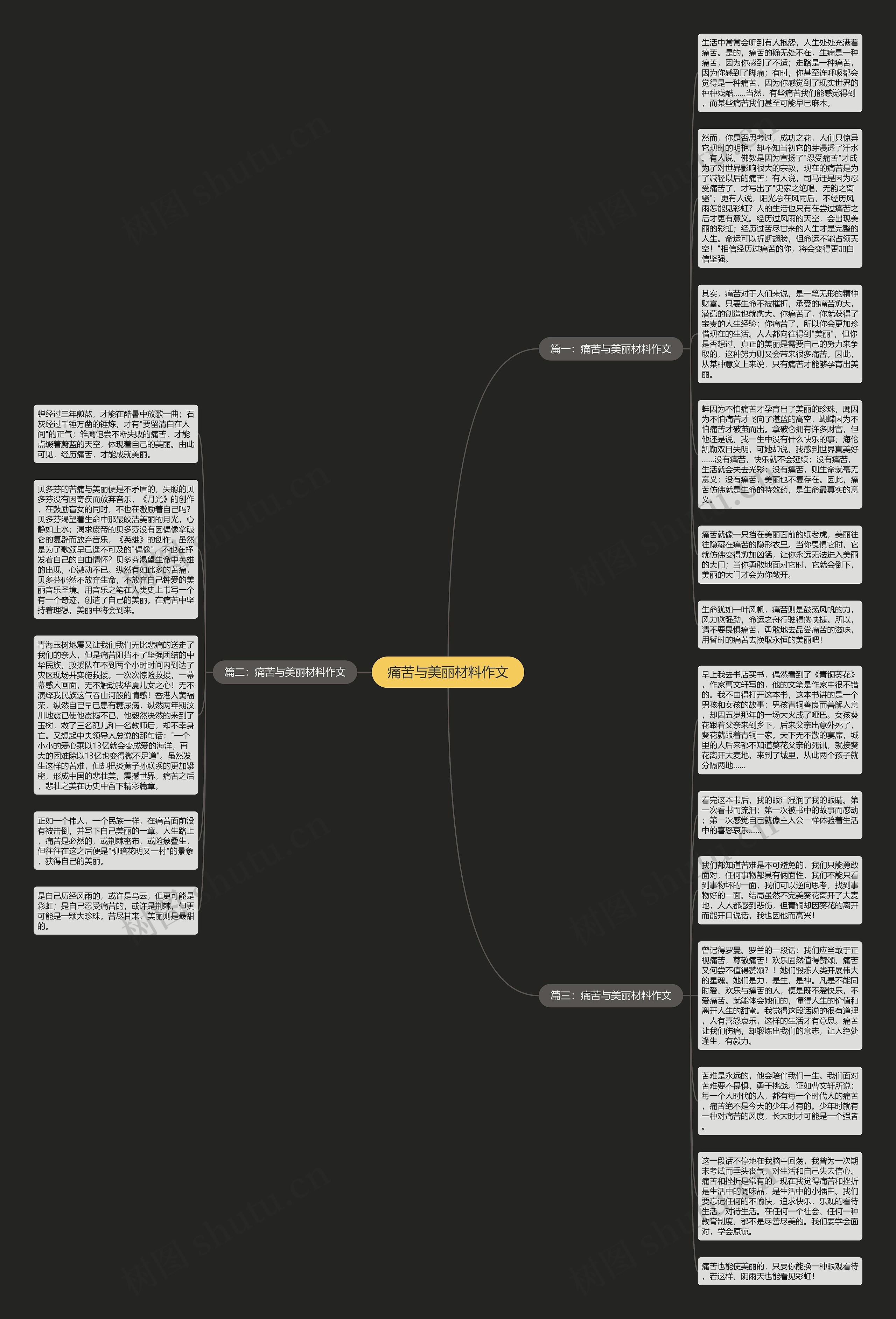 痛苦与美丽材料作文思维导图