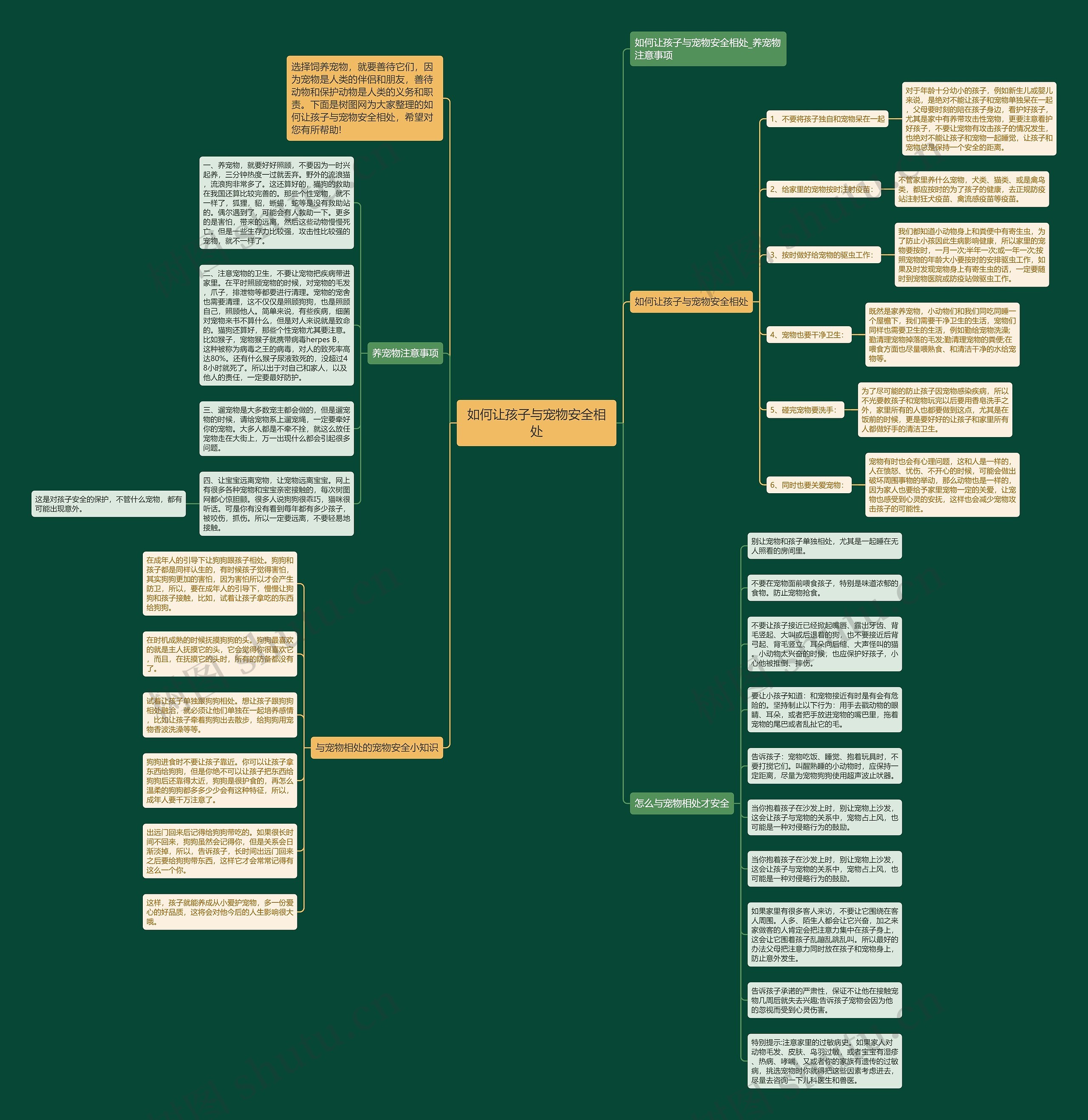 如何让孩子与宠物安全相处思维导图