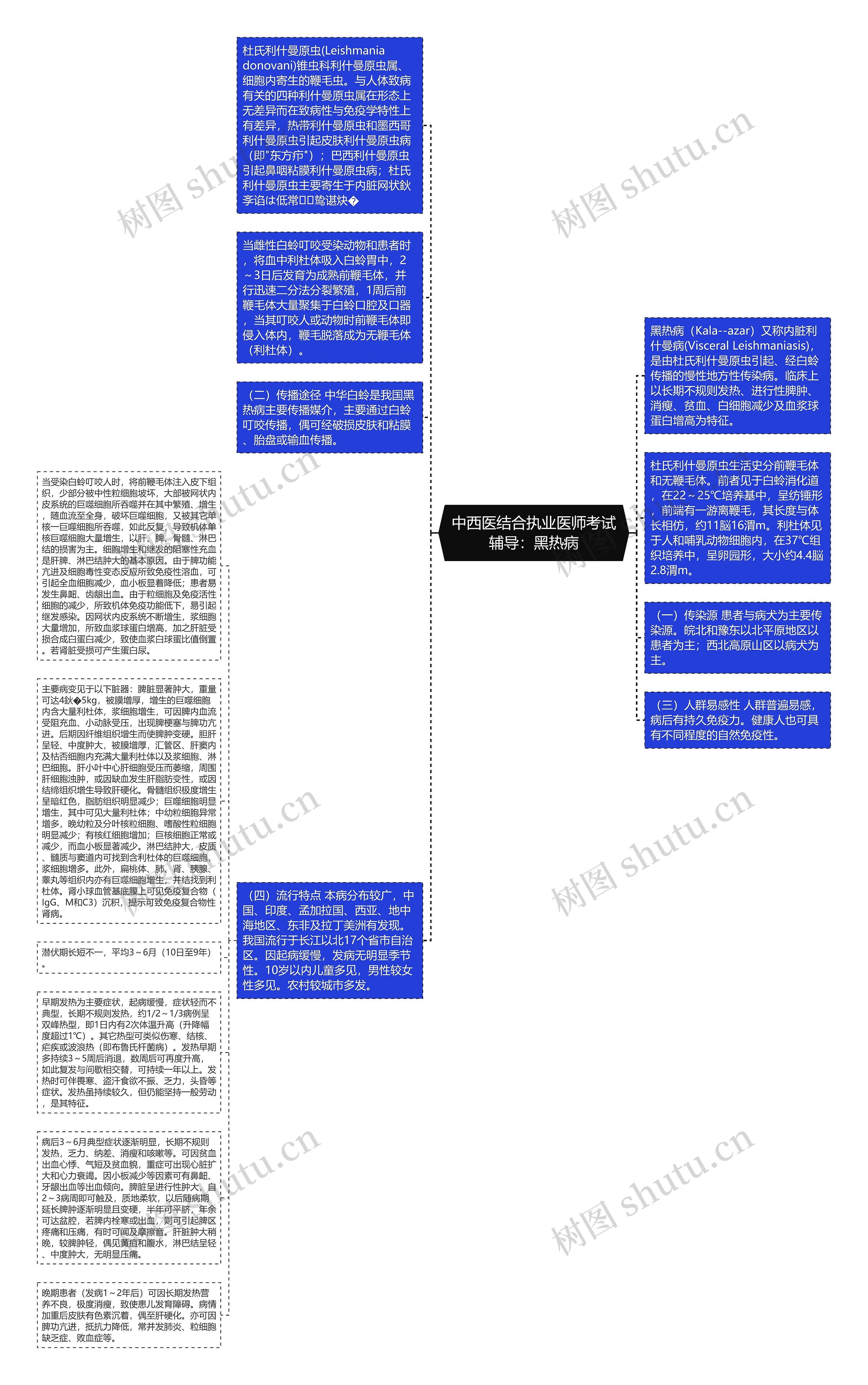 中西医结合执业医师考试辅导：黑热病思维导图