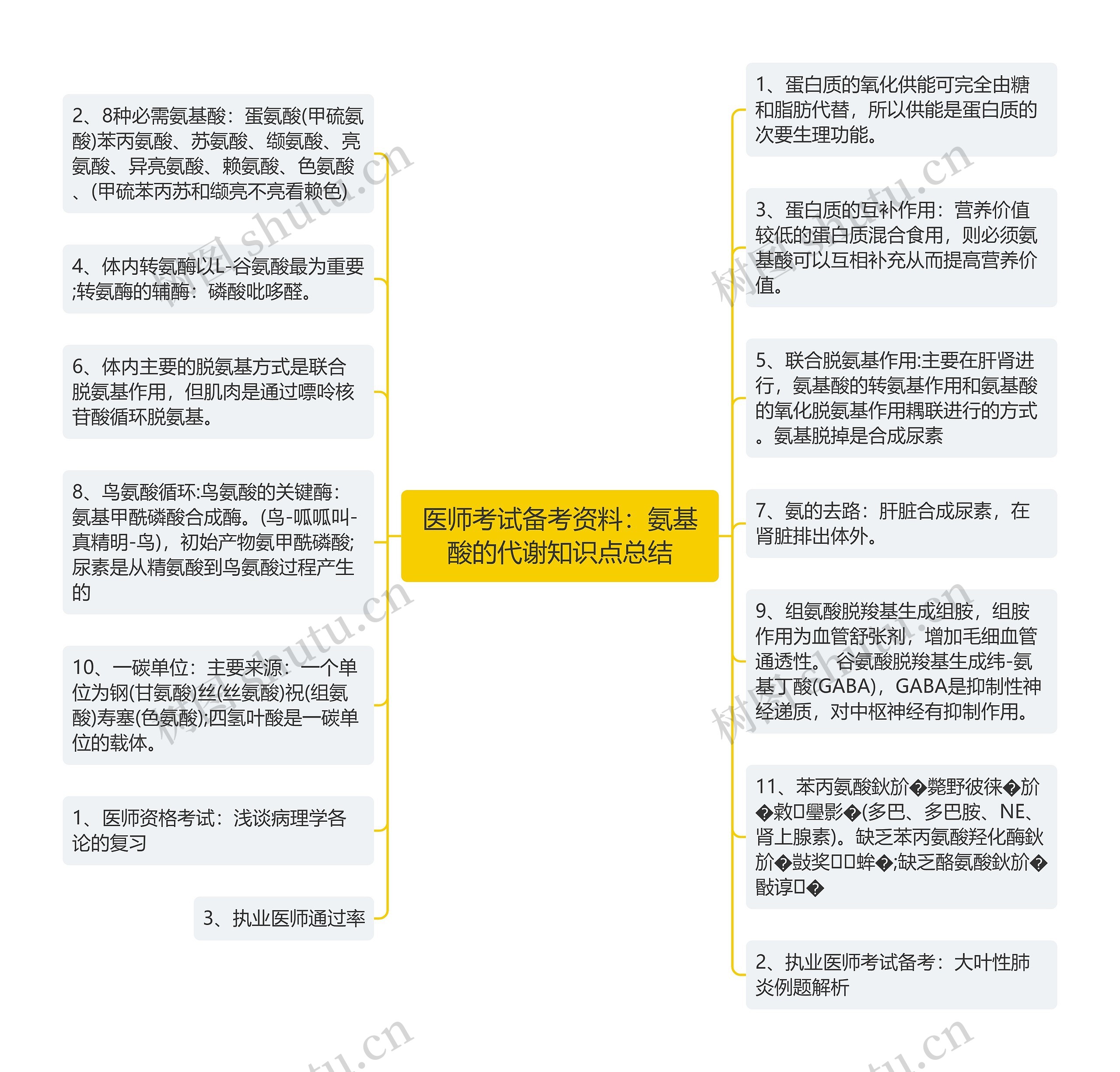 医师考试备考资料：氨基酸的代谢知识点总结思维导图