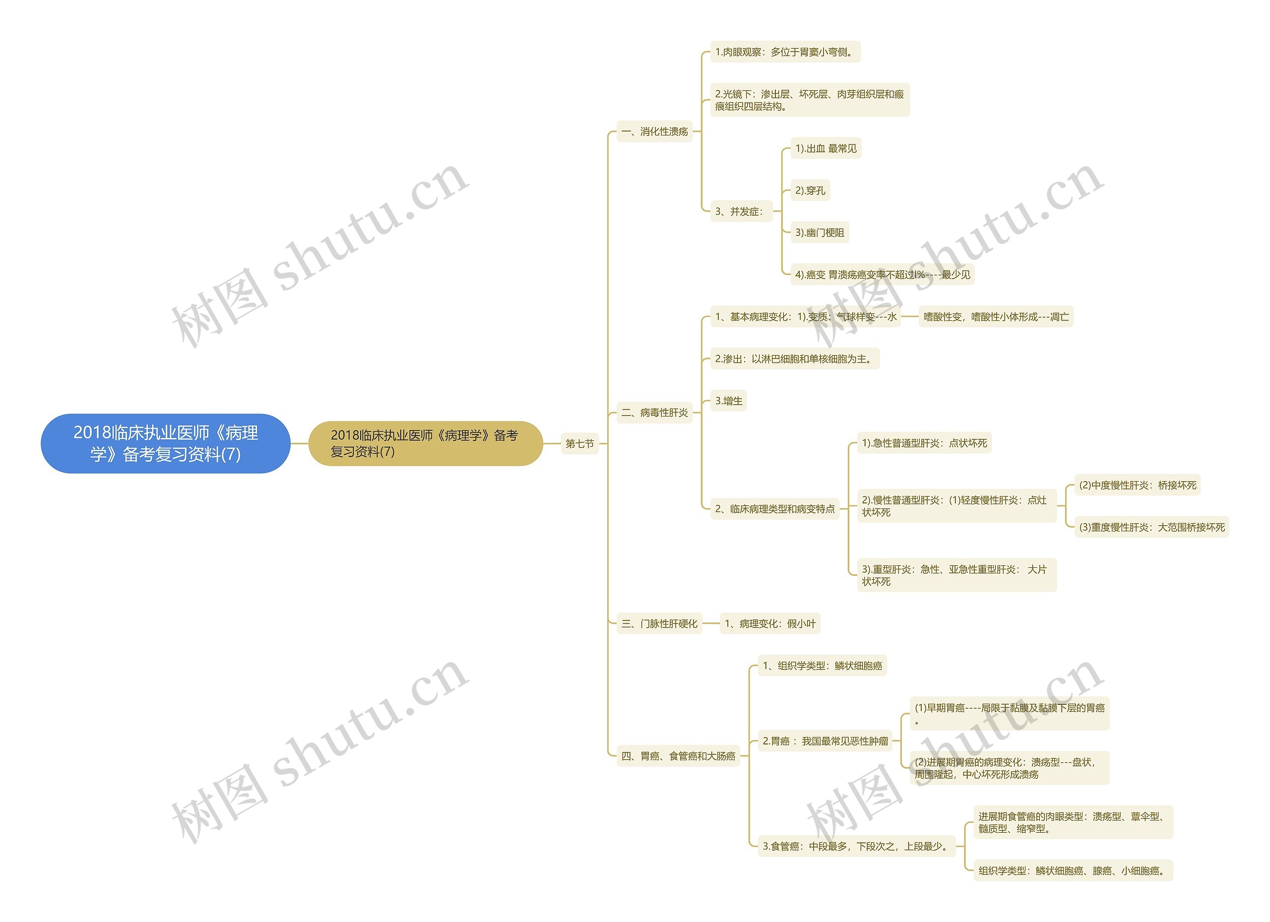 2018临床执业医师《病理学》备考复习资料(7)思维导图