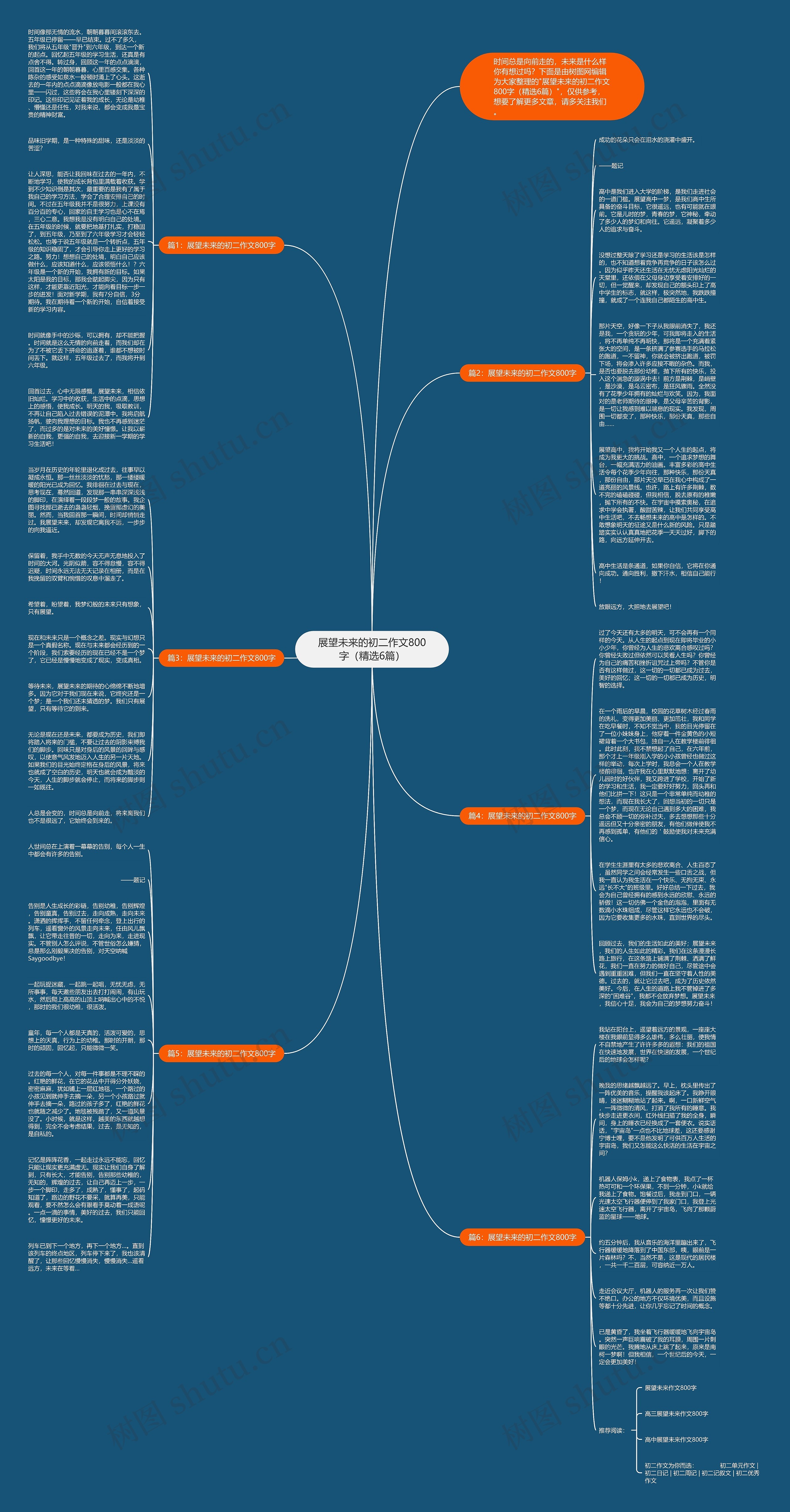 展望未来的初二作文800字（精选6篇）思维导图