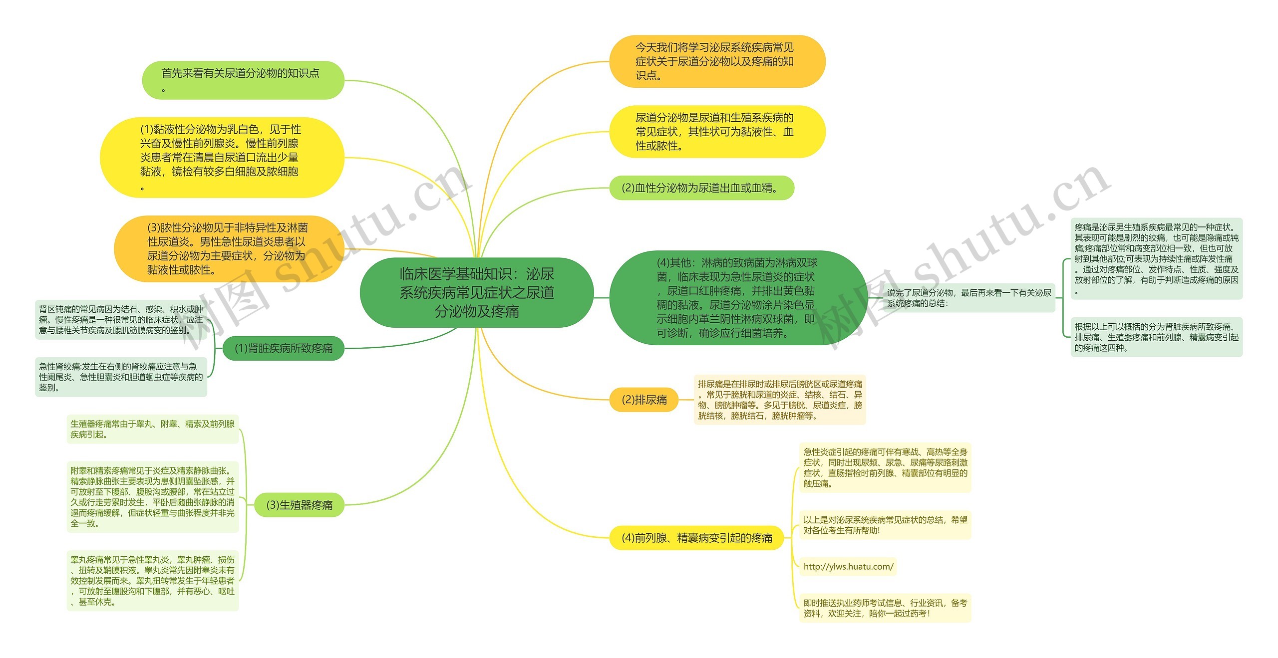 临床医学基础知识:泌尿系统疾病常见症状之尿道分泌物及疼痛 临床医学基础知识:泌尿系统疾病常见症状之尿道分泌物及疼痛
