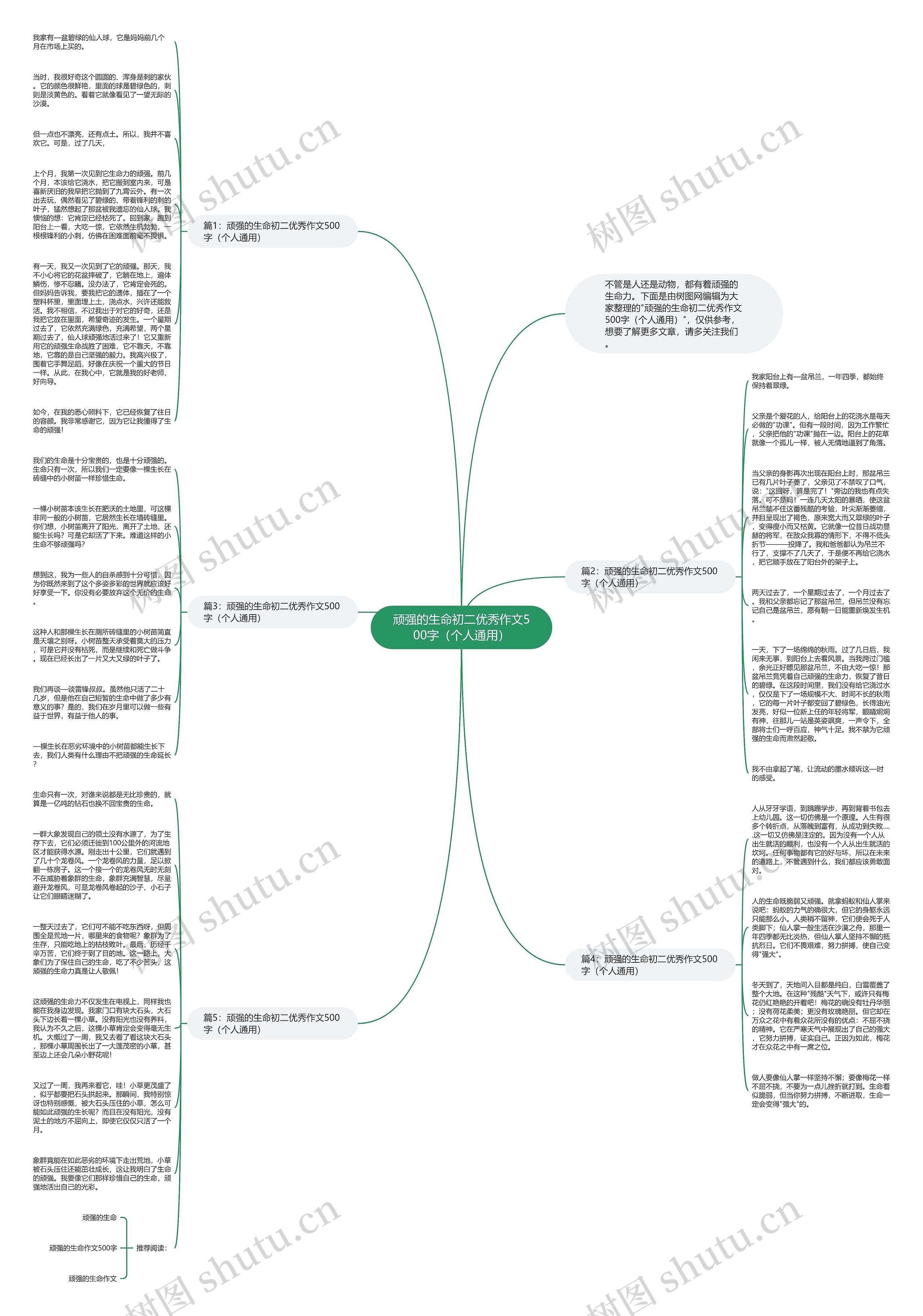 顽强的生命初二优秀作文500字（个人通用）思维导图