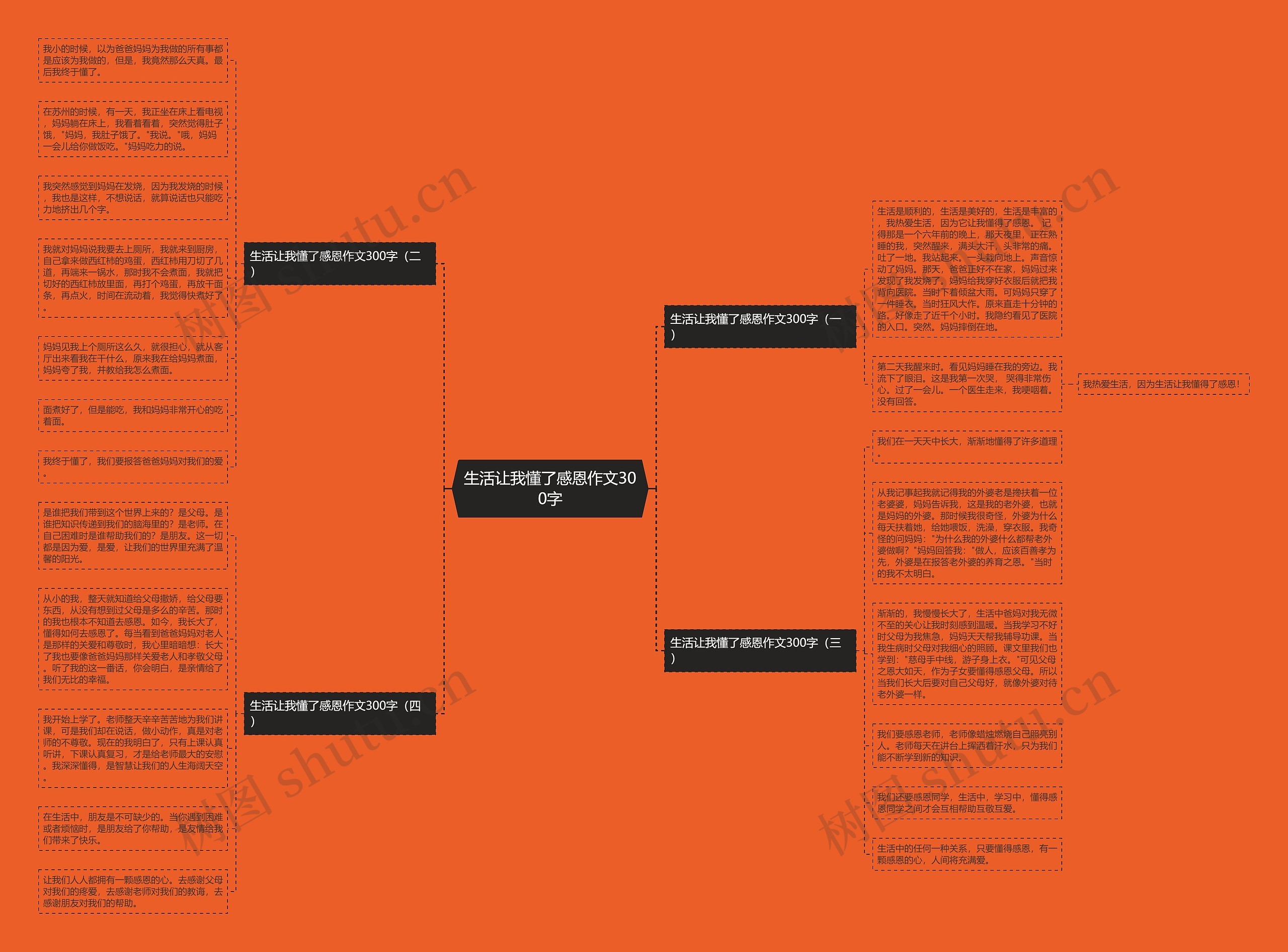 生活让我懂了感恩作文300字思维导图