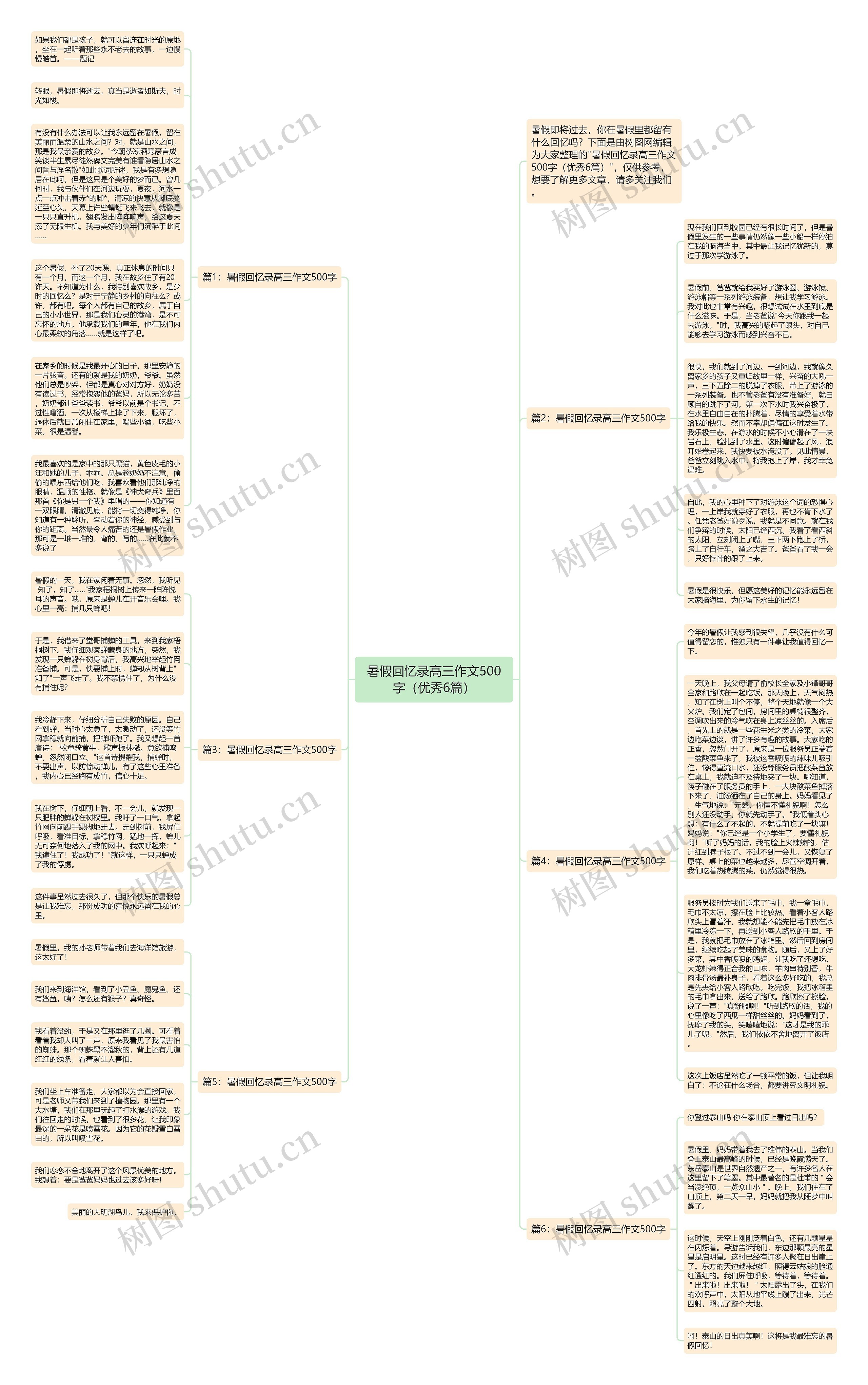暑假回忆录高三作文500字（优秀6篇）思维导图
