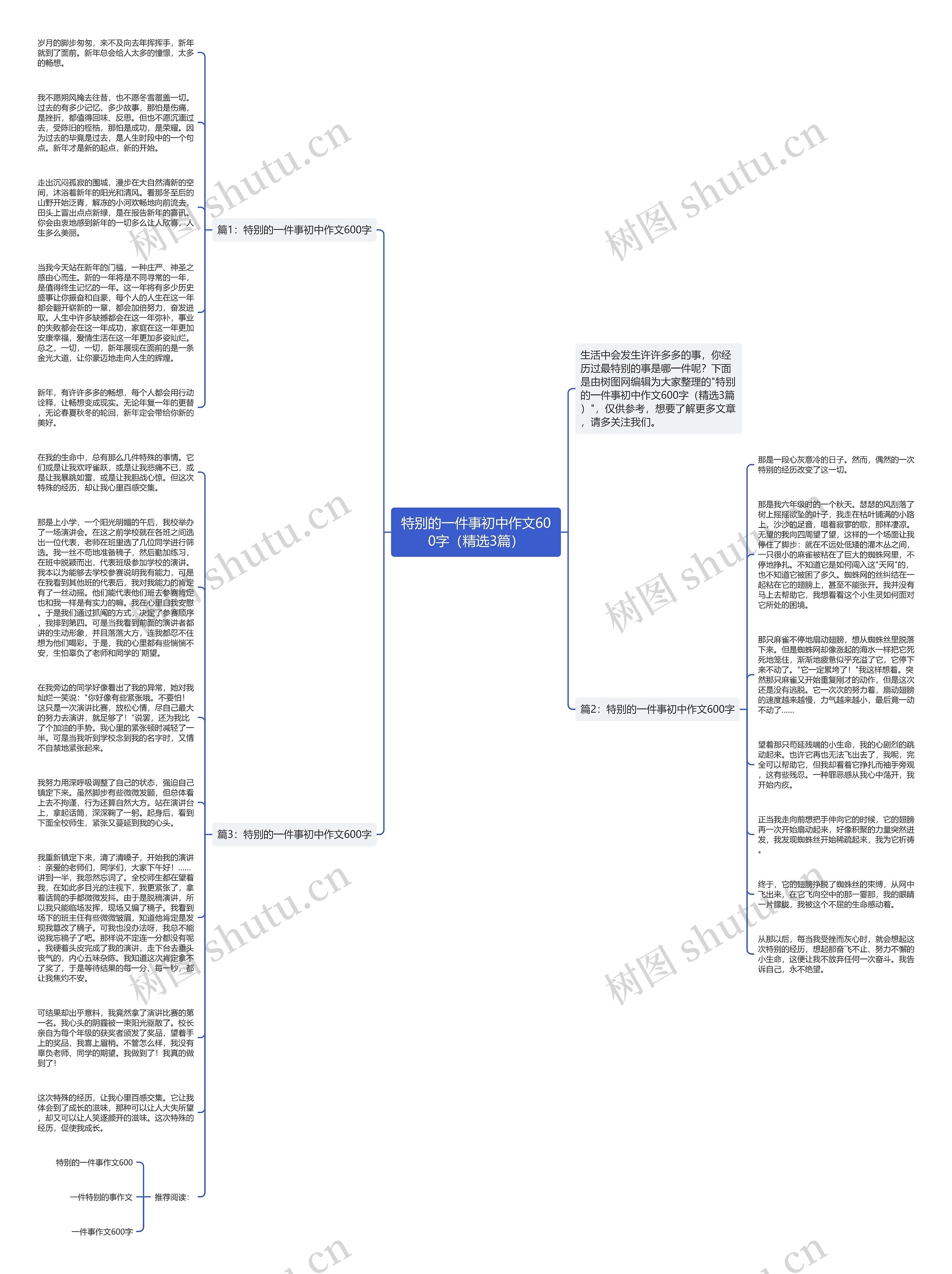 特别的一件事初中作文600字（精选3篇）思维导图