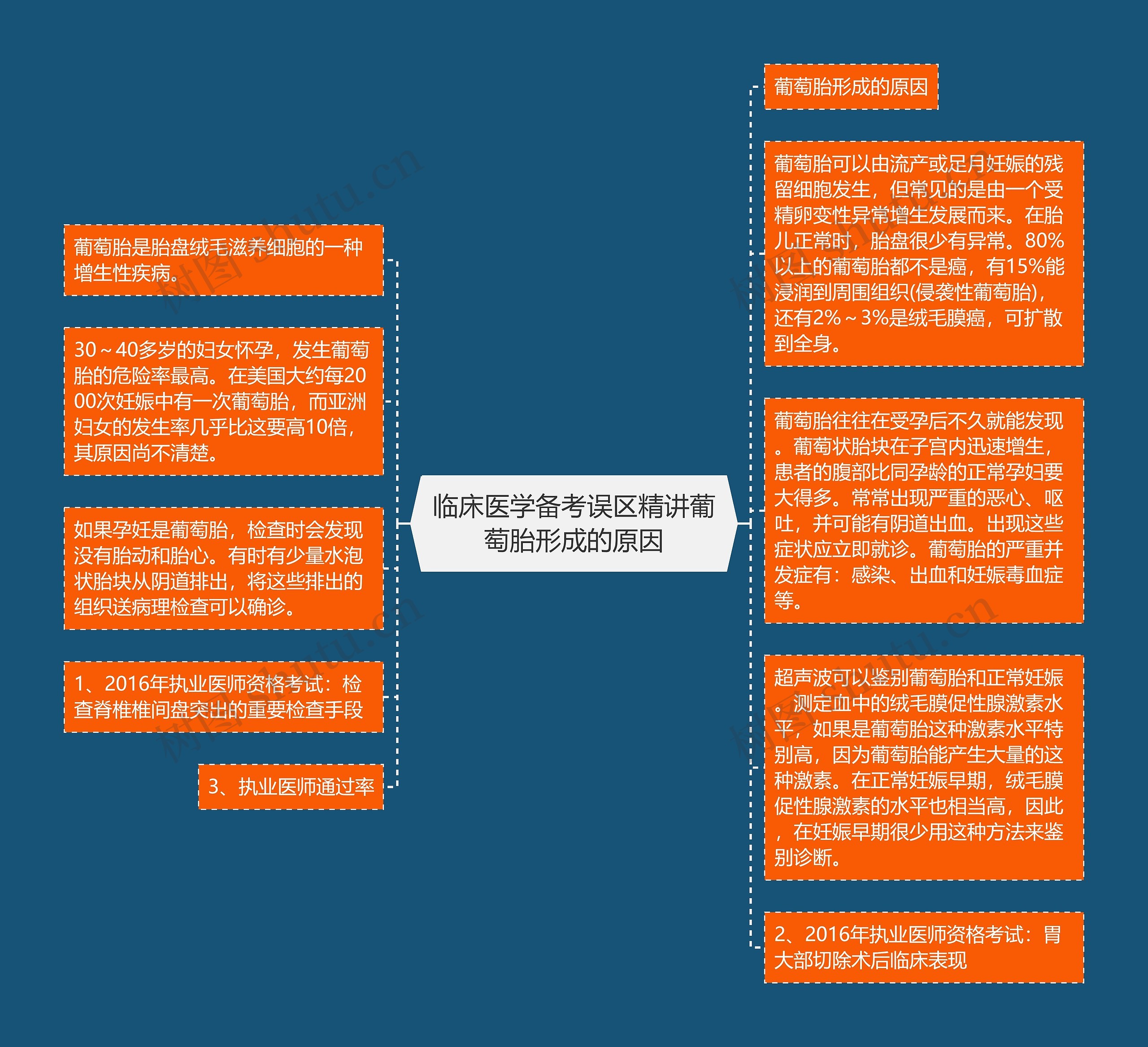 临床医学备考误区精讲葡萄胎形成的原因