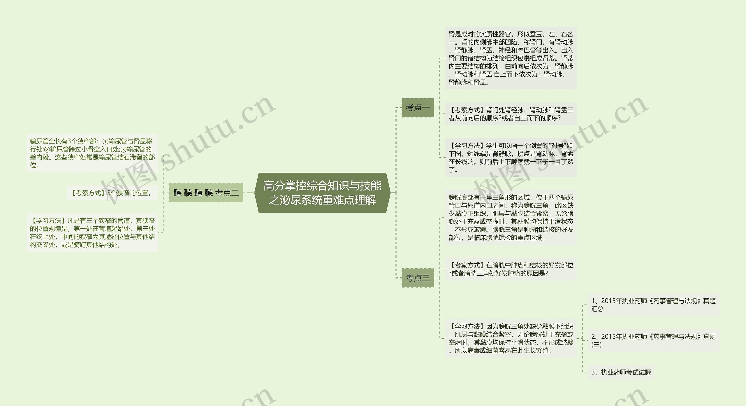 高分掌控综合知识与技能之泌尿系统重难点理解思维导图