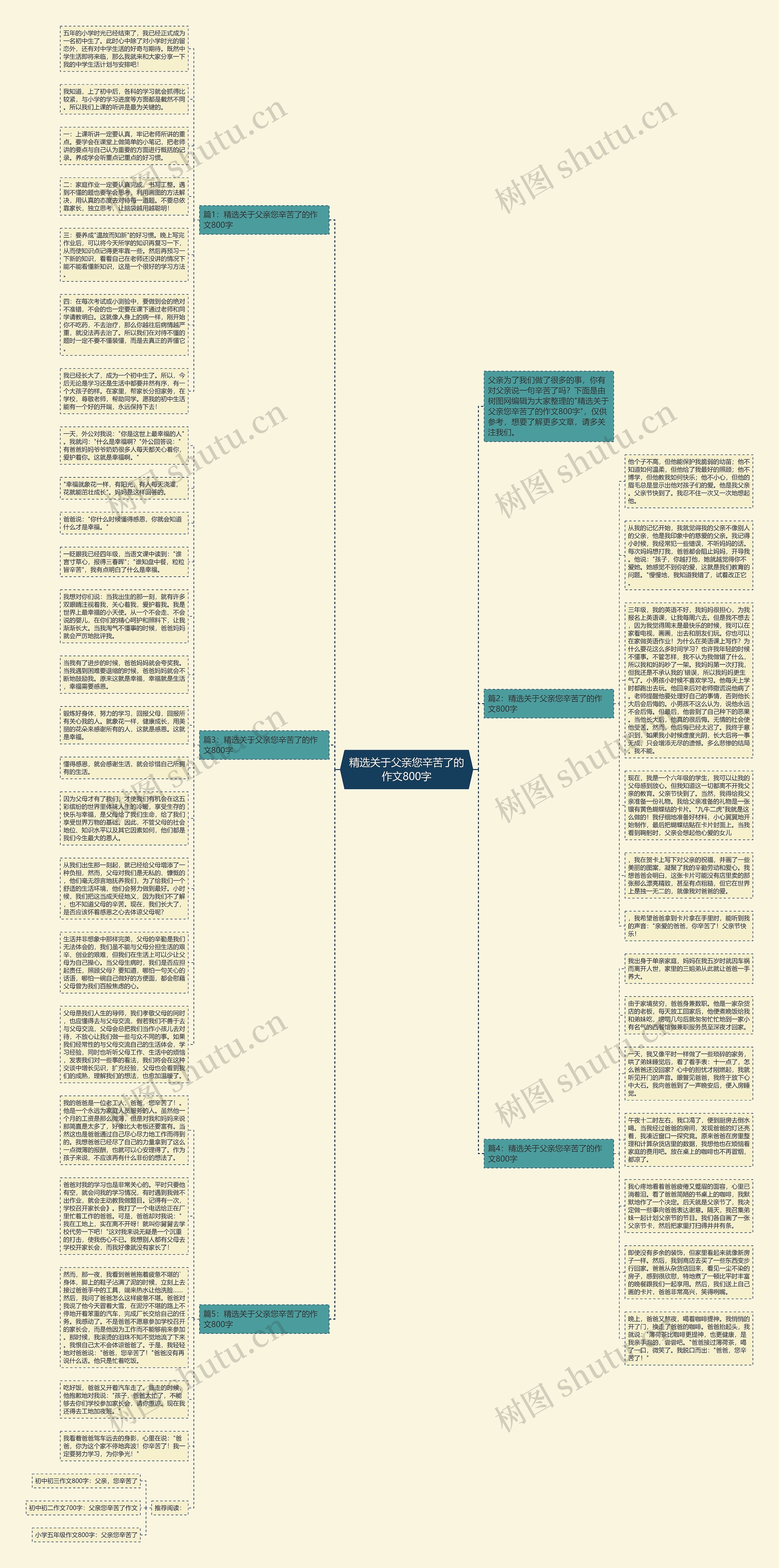 精选关于父亲您辛苦了的作文800字思维导图