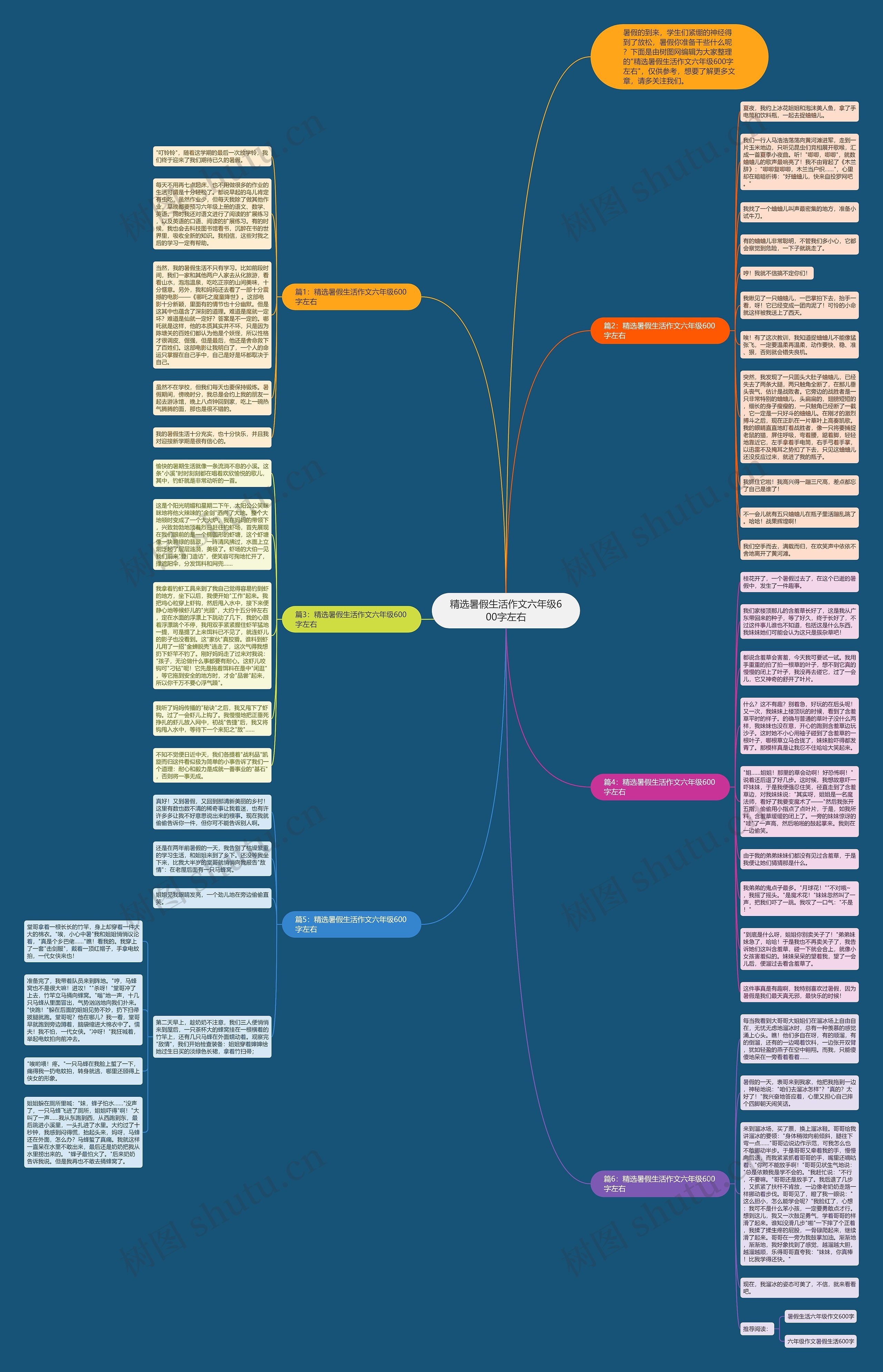 精选暑假生活作文六年级600字左右