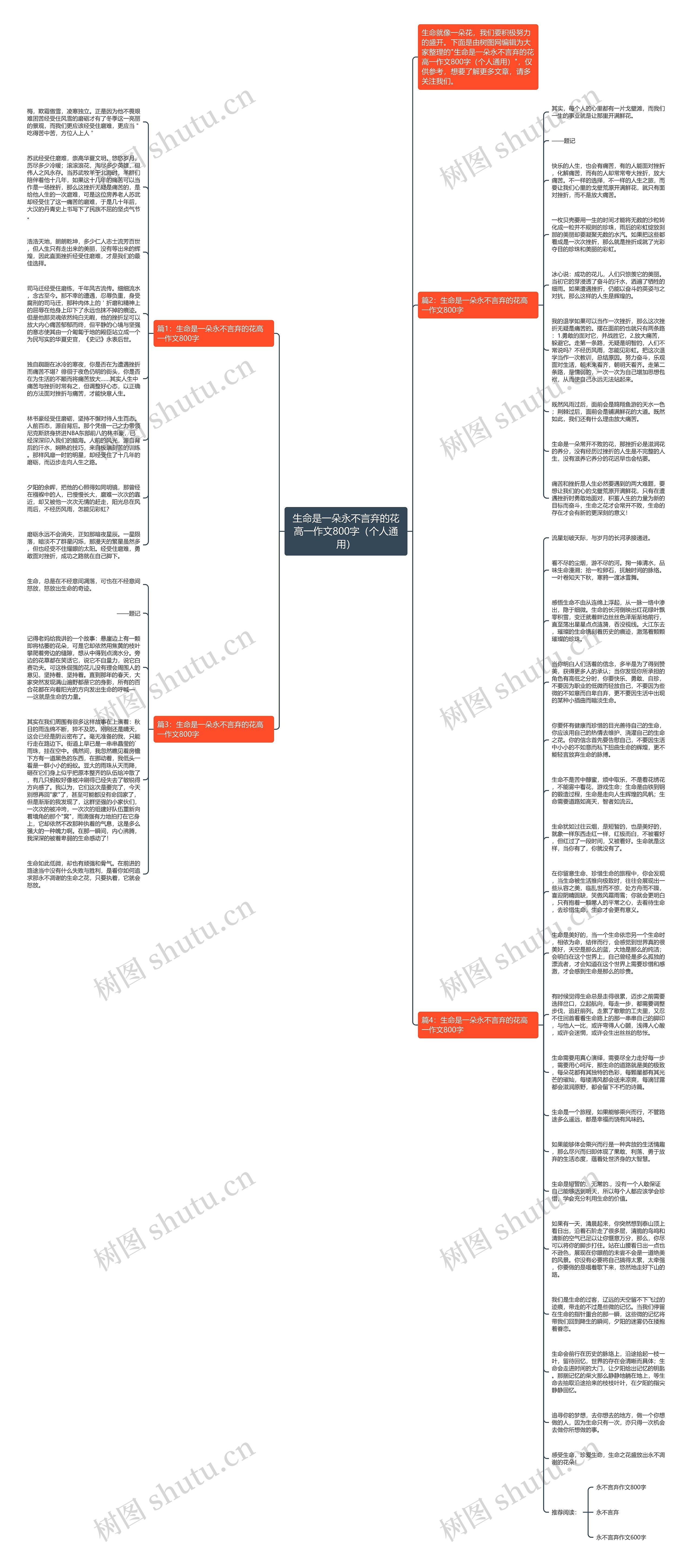 生命是一朵永不言弃的花高一作文800字（个人通用）思维导图
