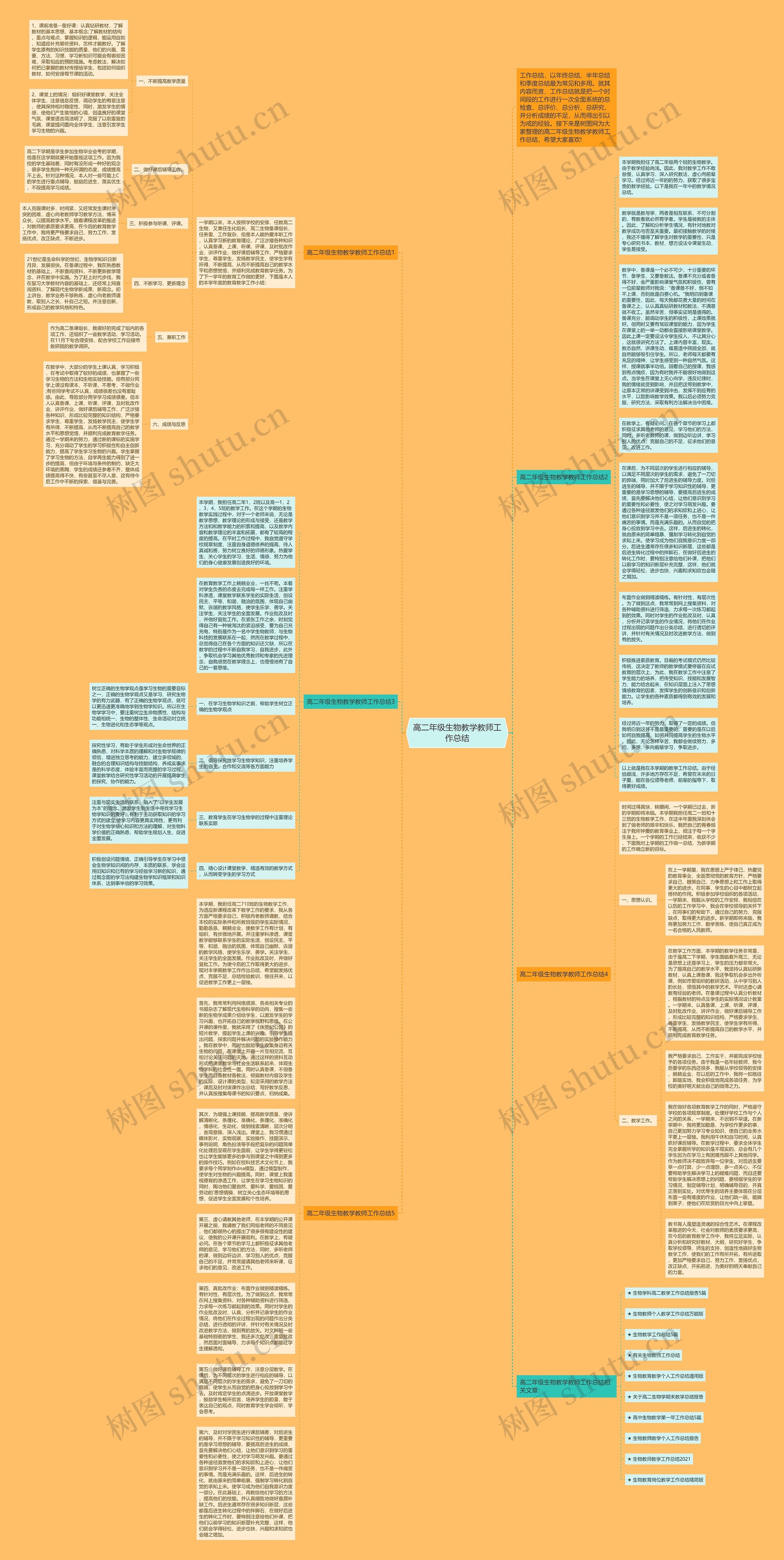 高二年级生物教学教师工作总结思维导图