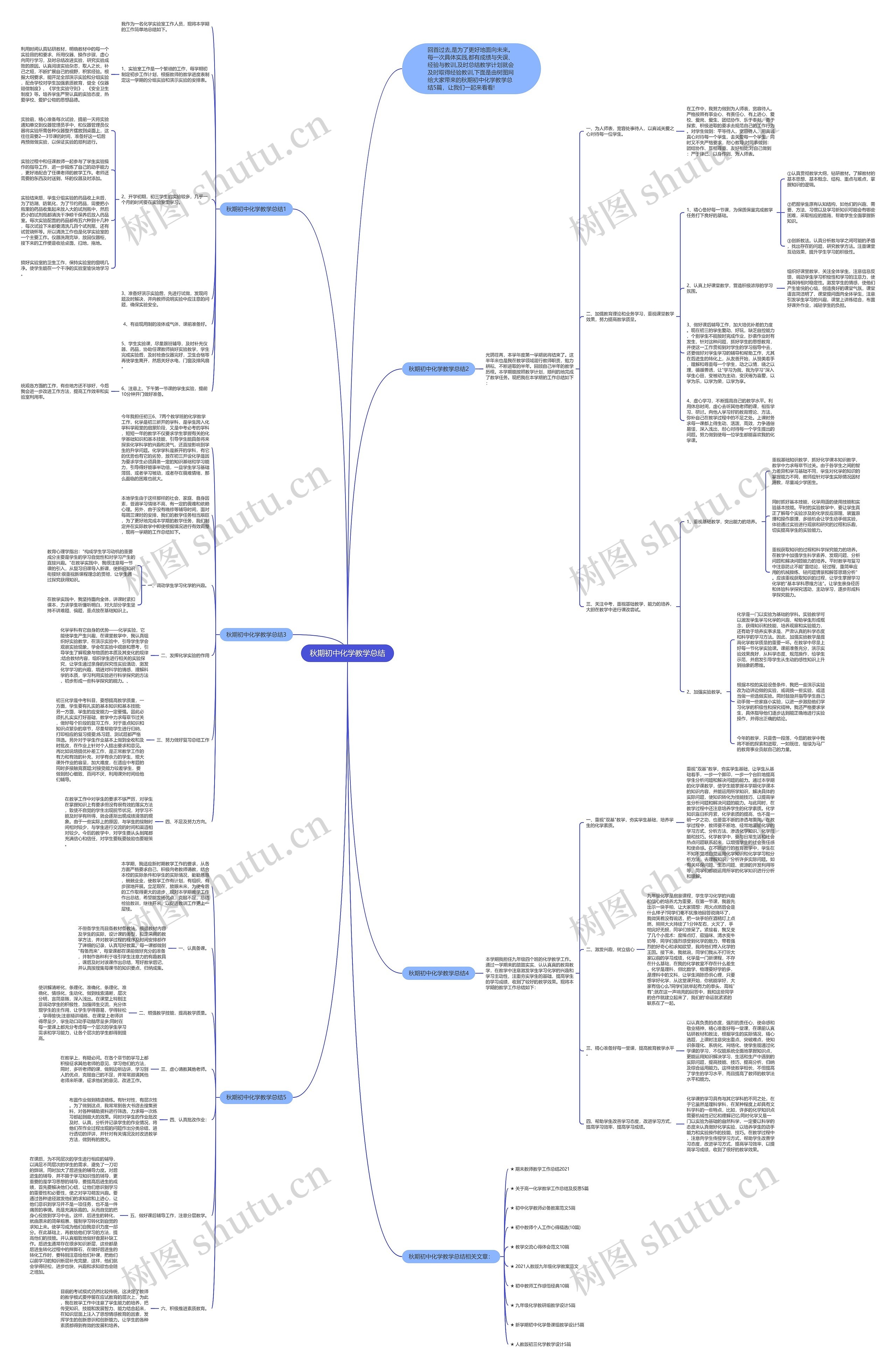 秋期初中化学教学总结思维导图