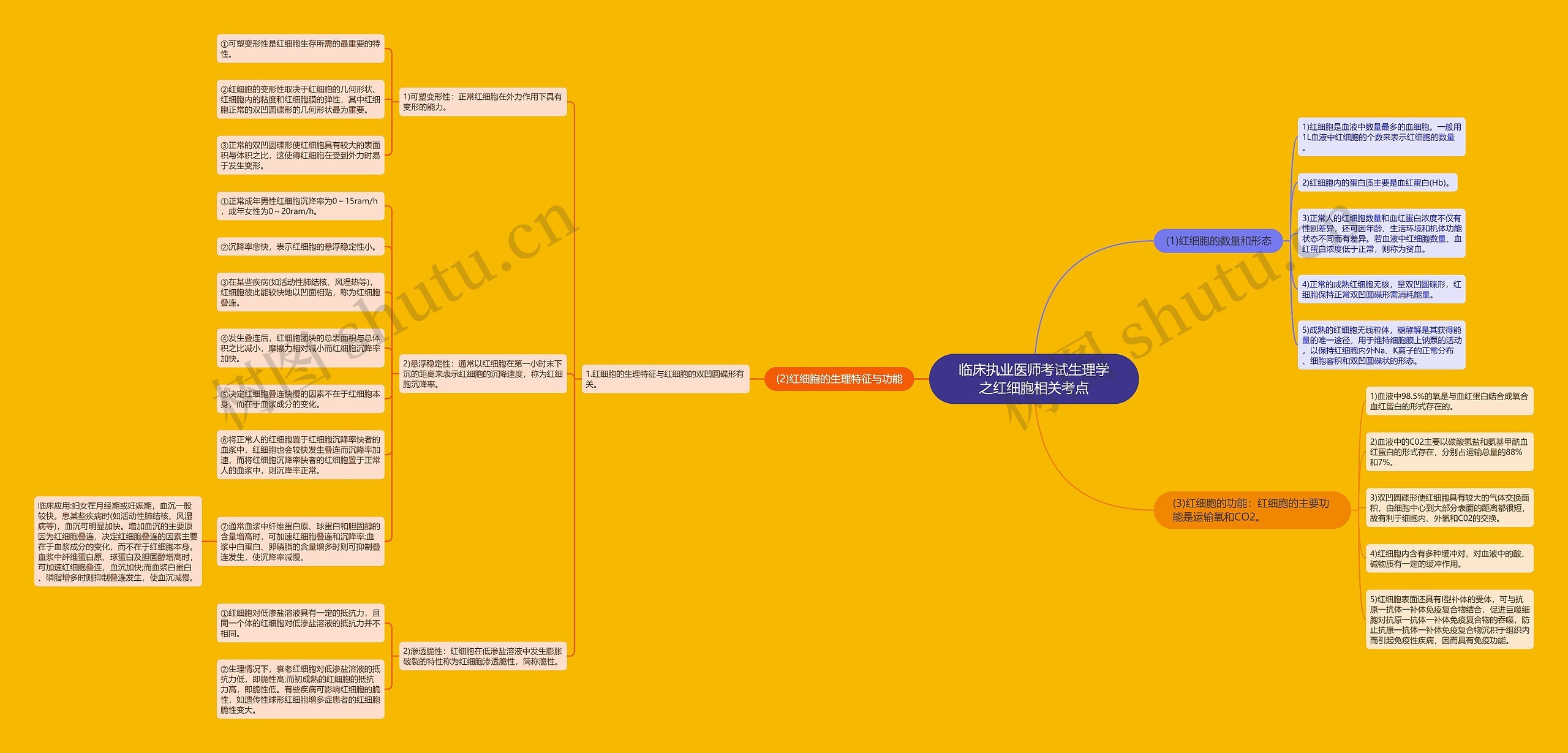 临床执业医师考试生理学之红细胞相关考点思维导图