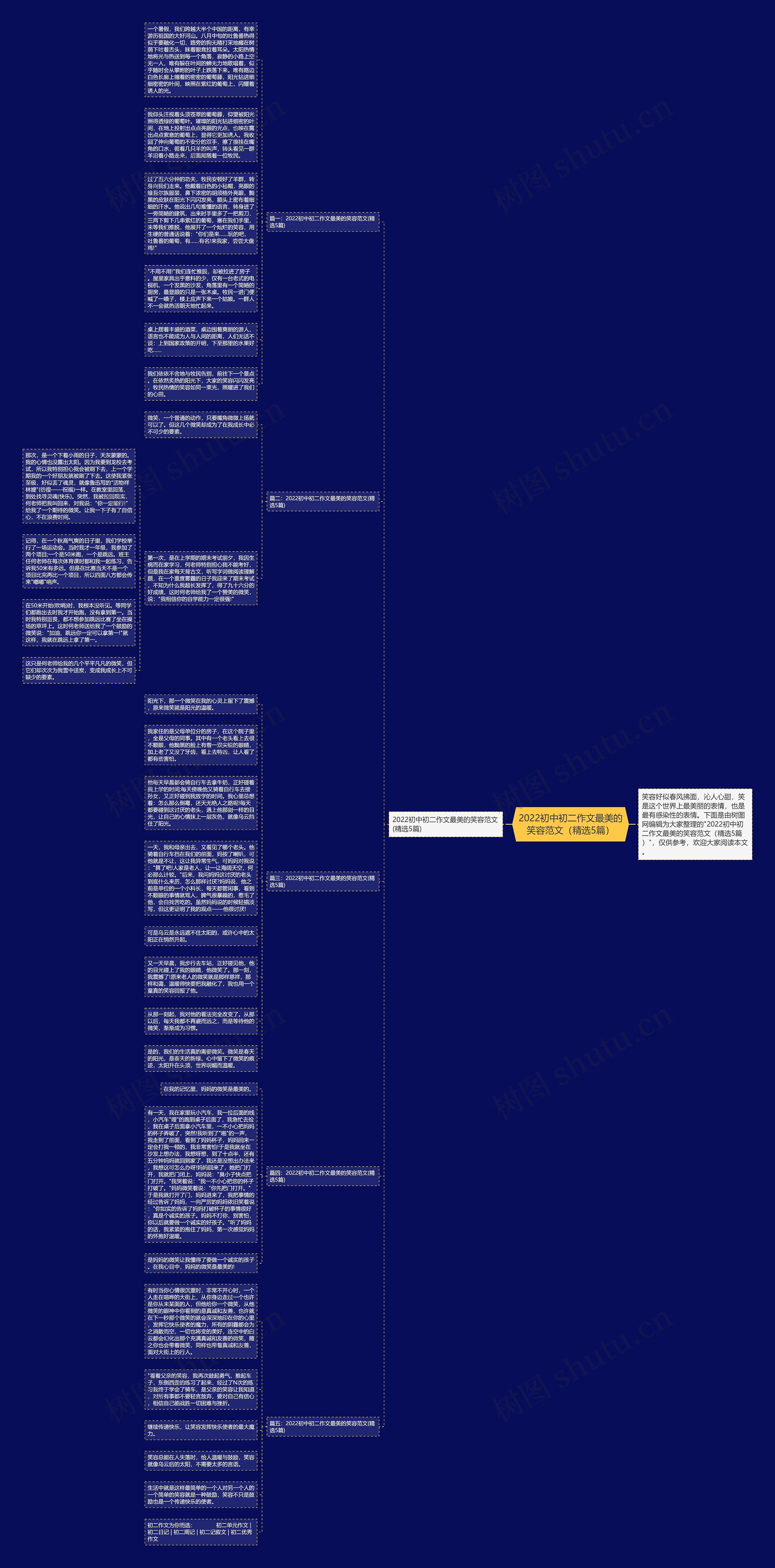 2022初中初二作文最美的笑容范文（精选5篇）思维导图