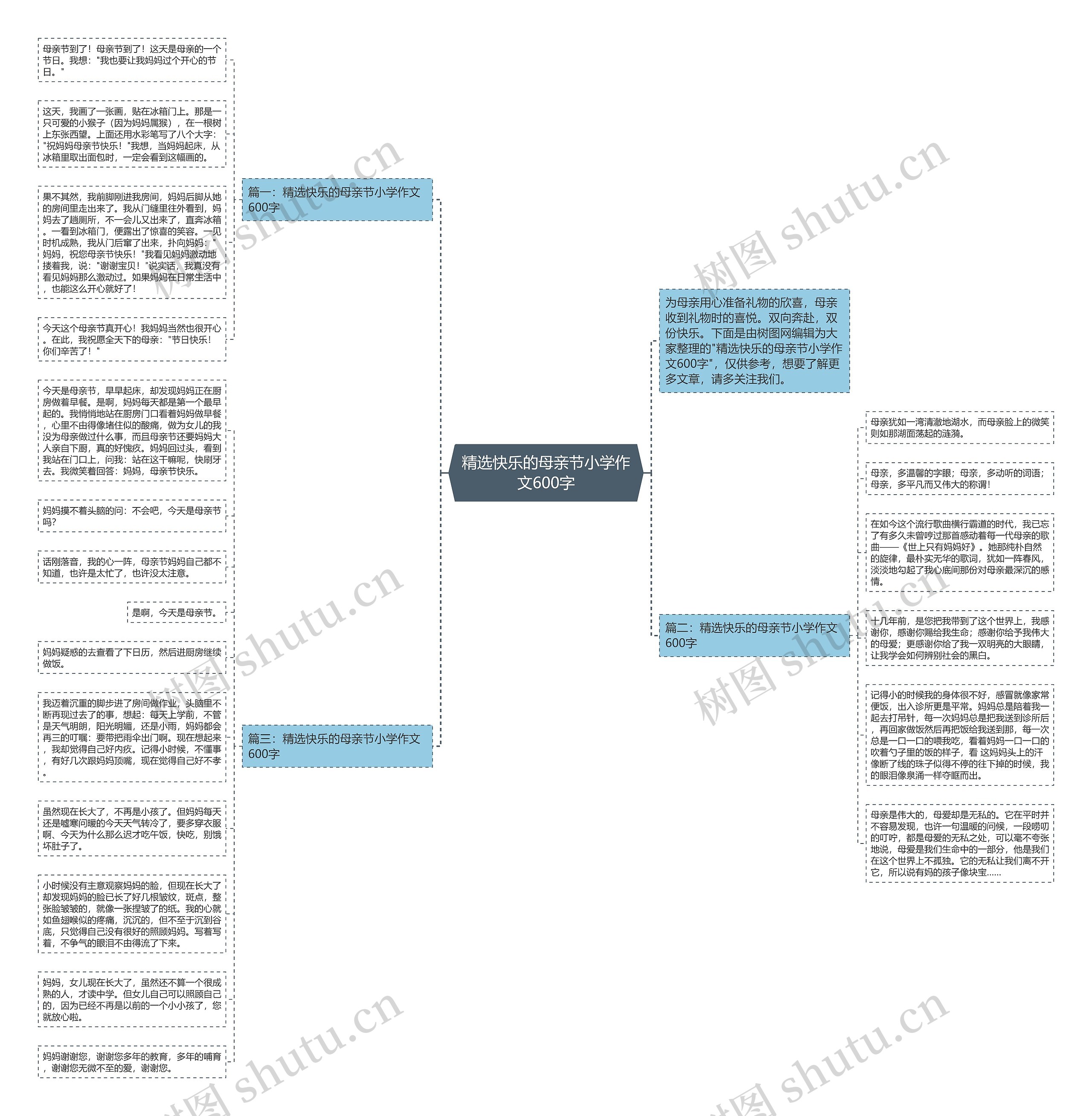 精选快乐的母亲节小学作文600字思维导图