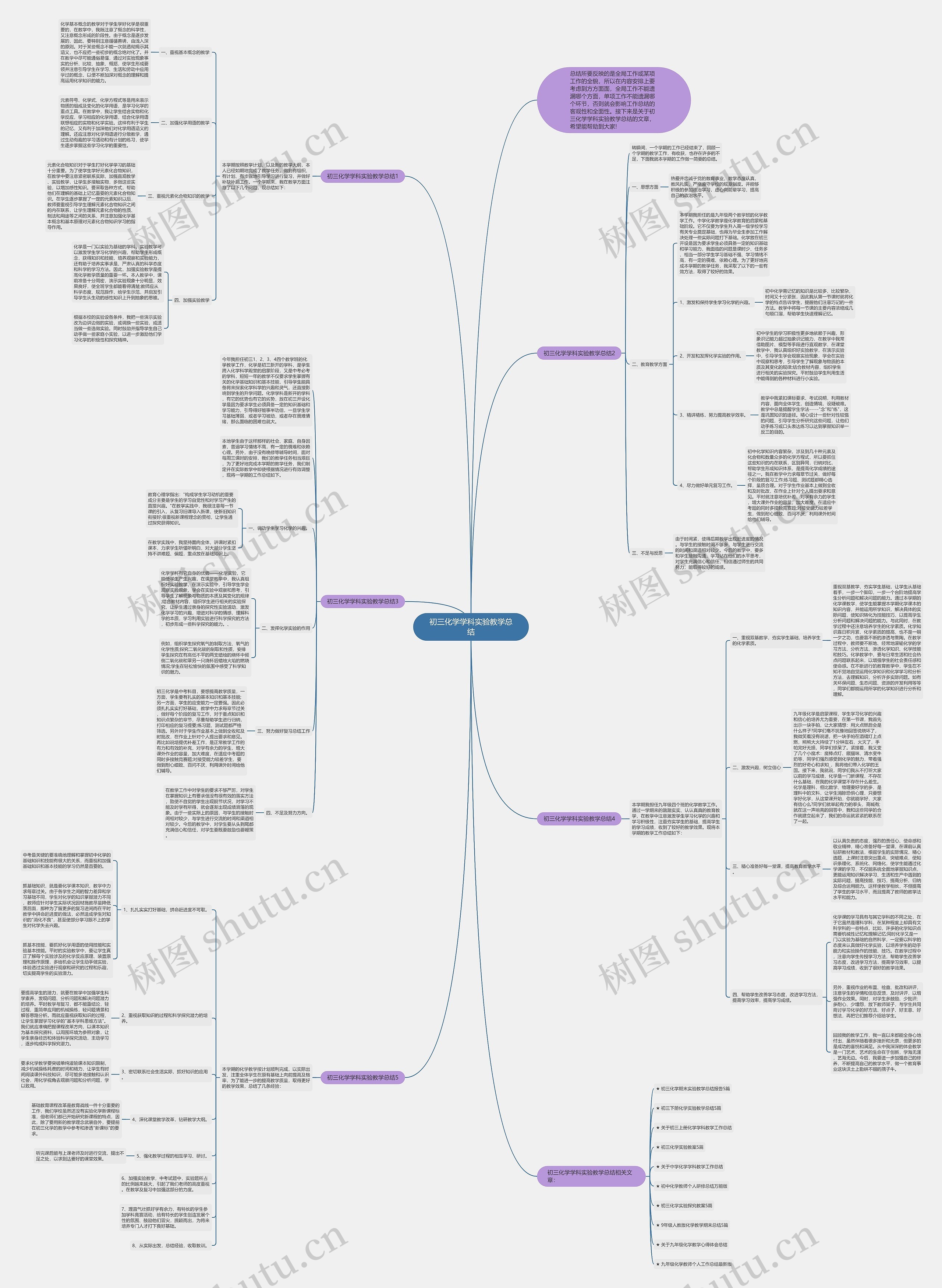初三化学学科实验教学总结思维导图