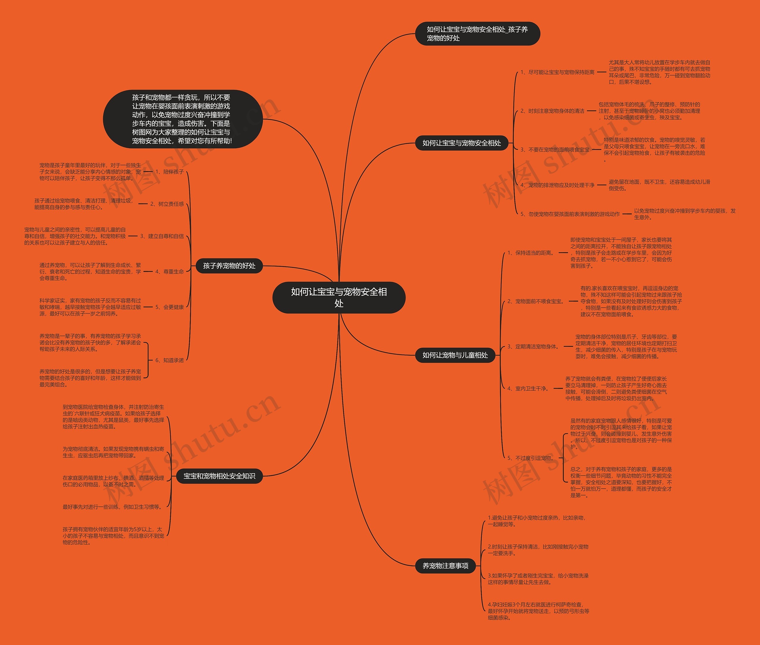 如何让宝宝与宠物安全相处思维导图