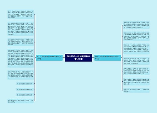 路边长着一株雏菊材料作文600字