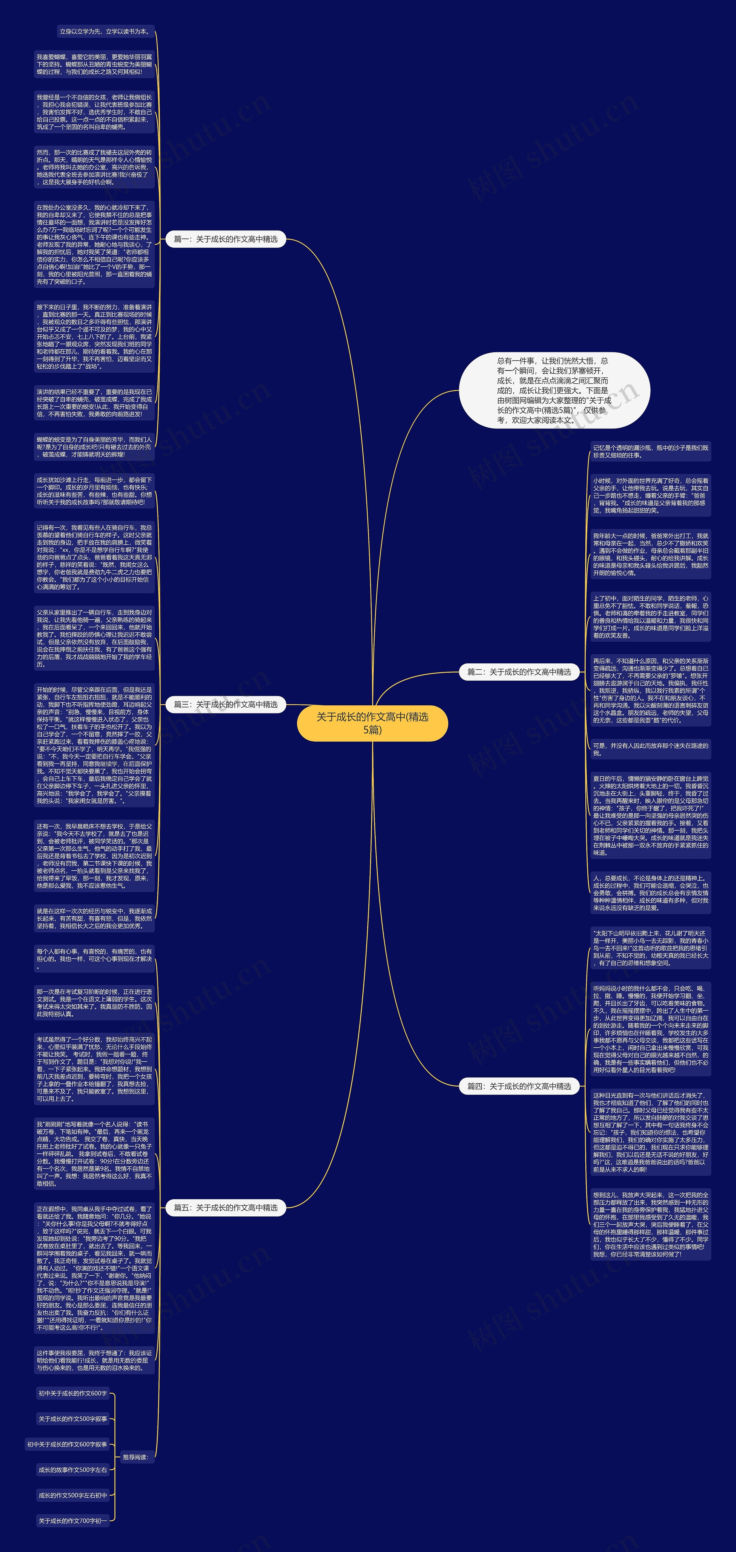关于成长的作文高中(精选5篇)思维导图