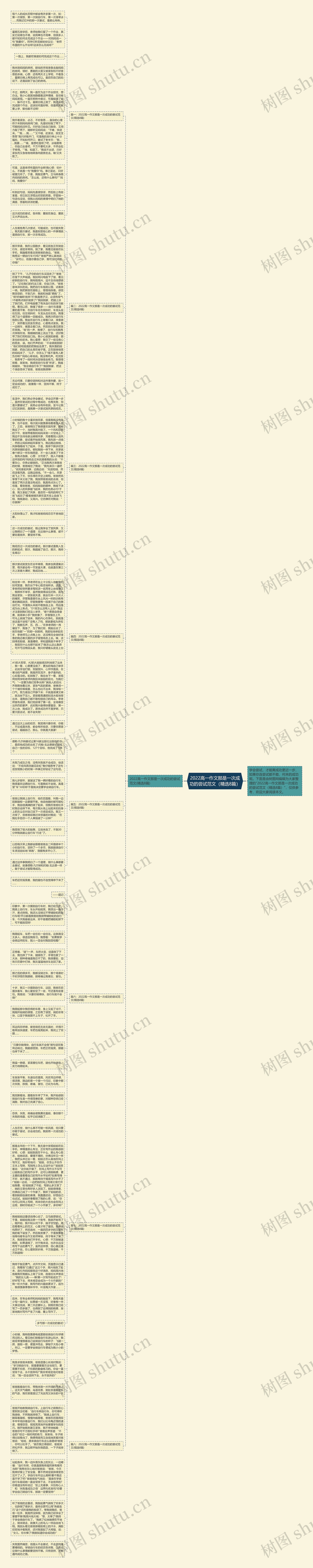 2022高一作文那是一次成功的尝试范文（精选8篇）思维导图