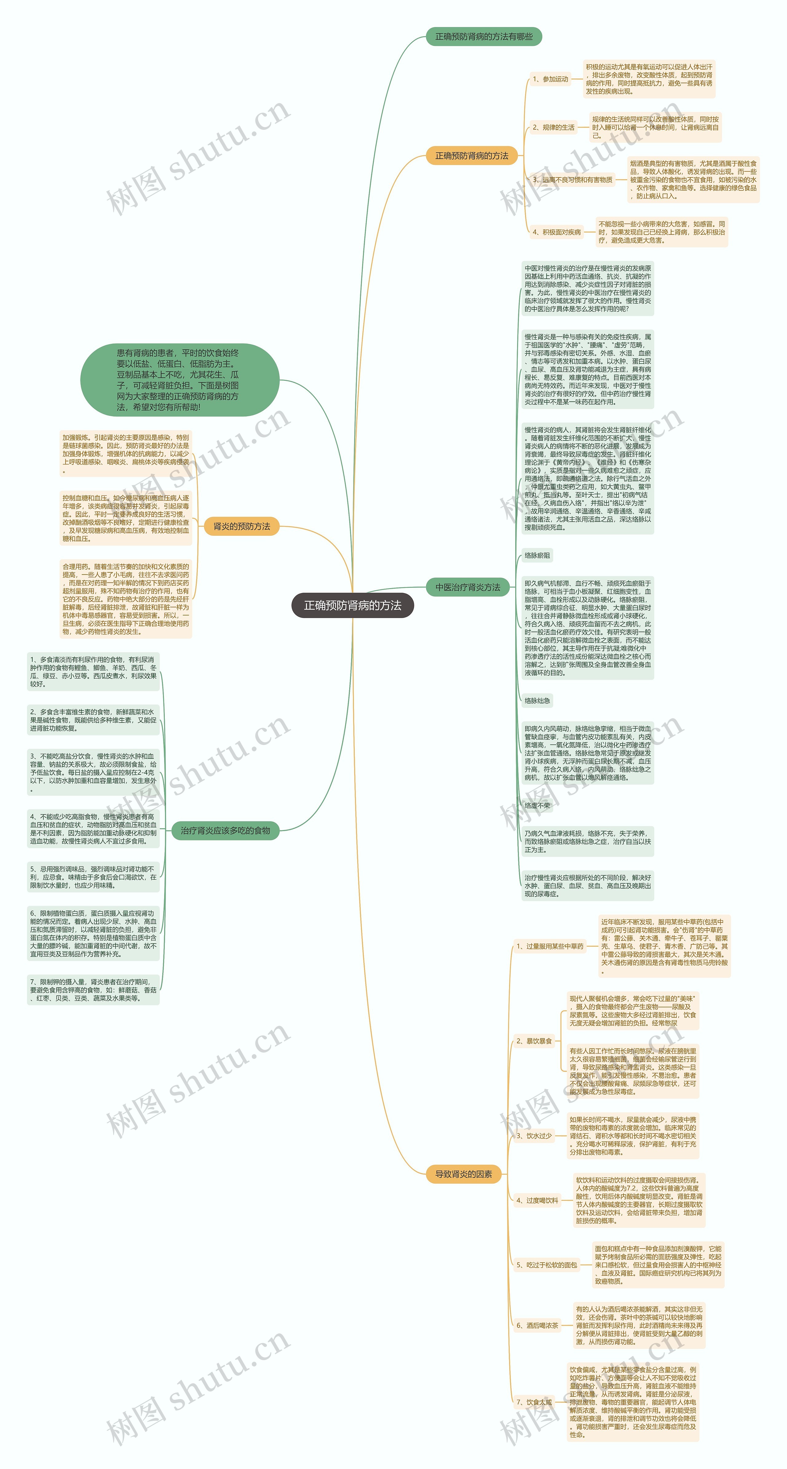 正确预防肾病的方法思维导图