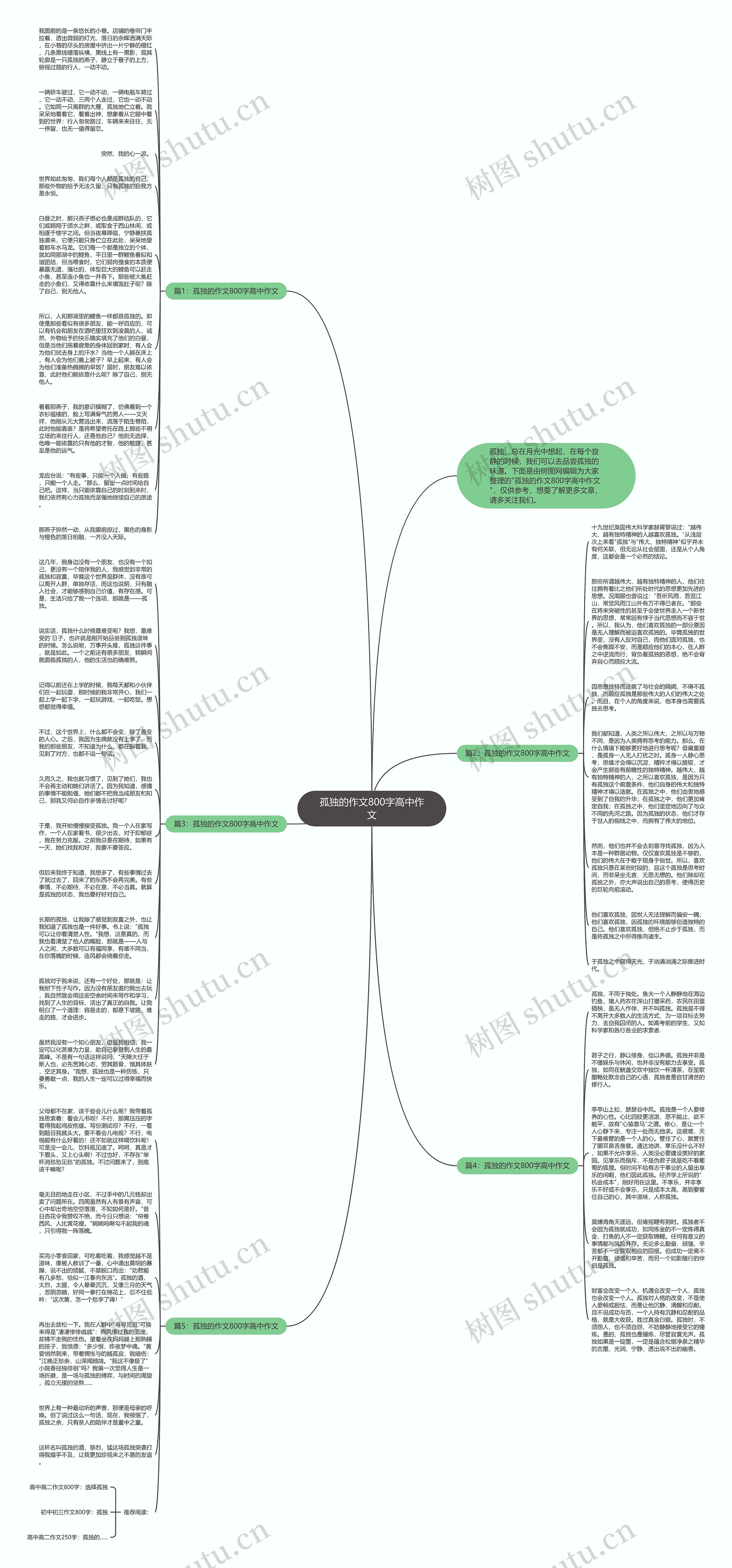 孤独的作文800字高中作文思维导图