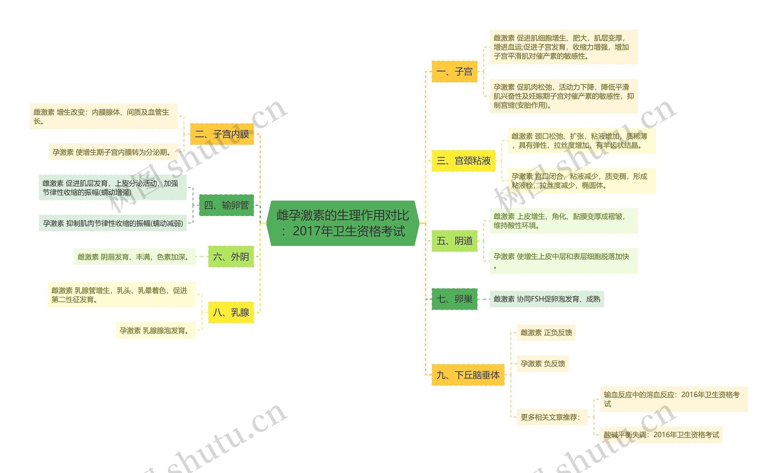 雌孕激素的生理作用对比：2017年卫生资格考试思维导图