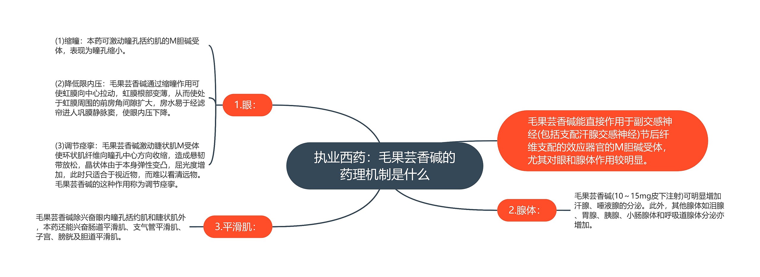 执业西药：毛果芸香碱的药理机制是什么思维导图