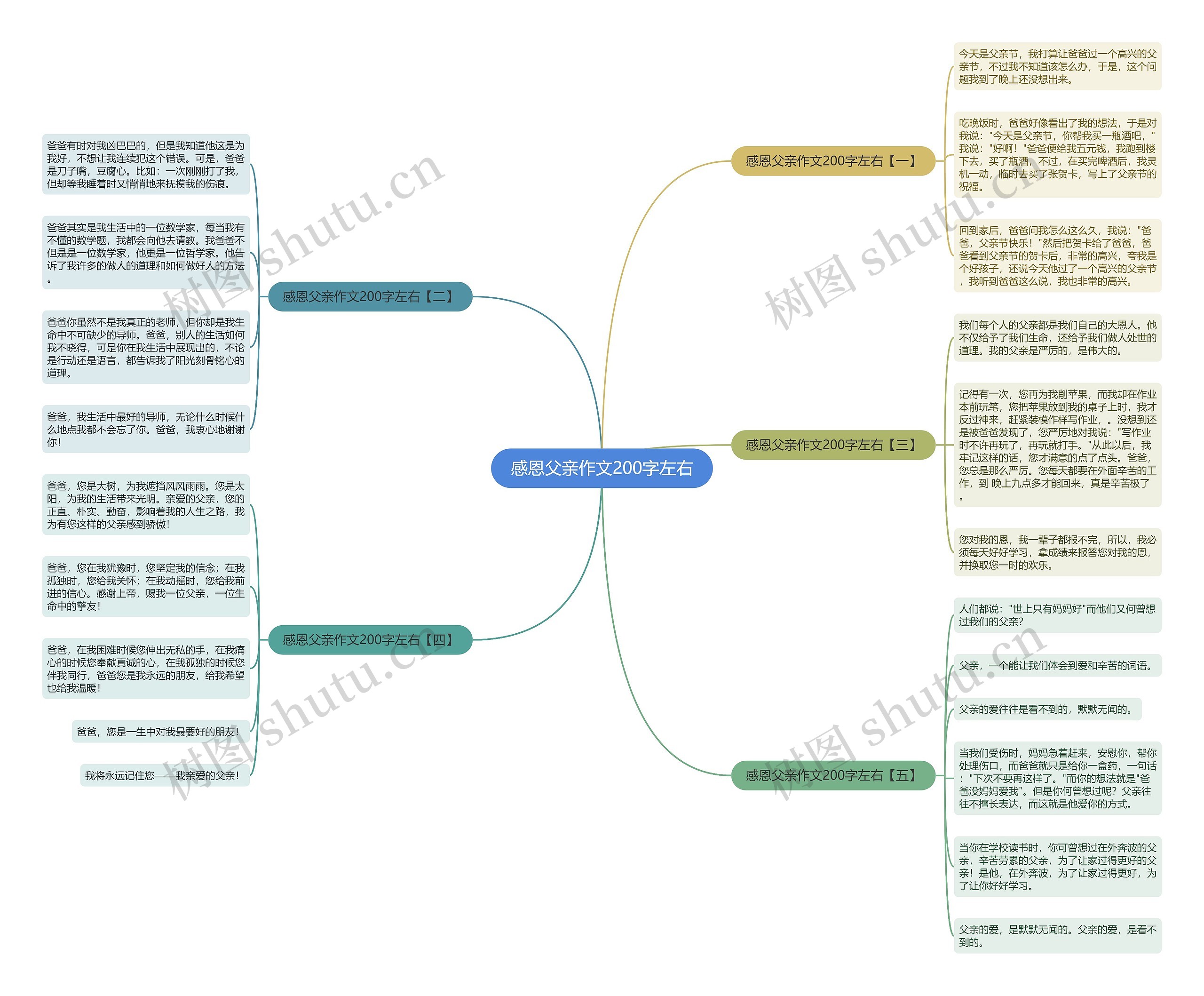 感恩父亲作文200字左右思维导图