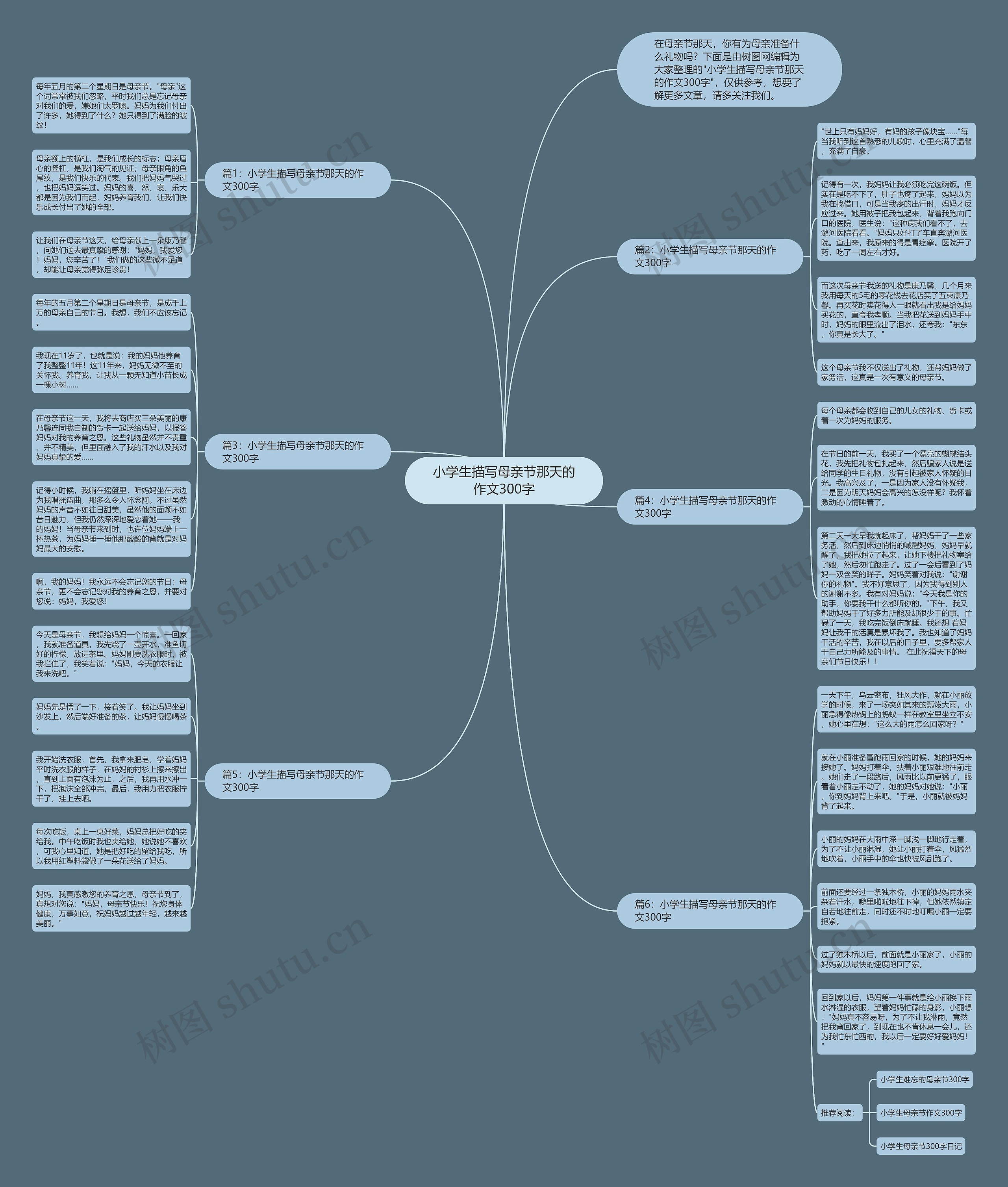 小学生描写母亲节那天的作文300字思维导图