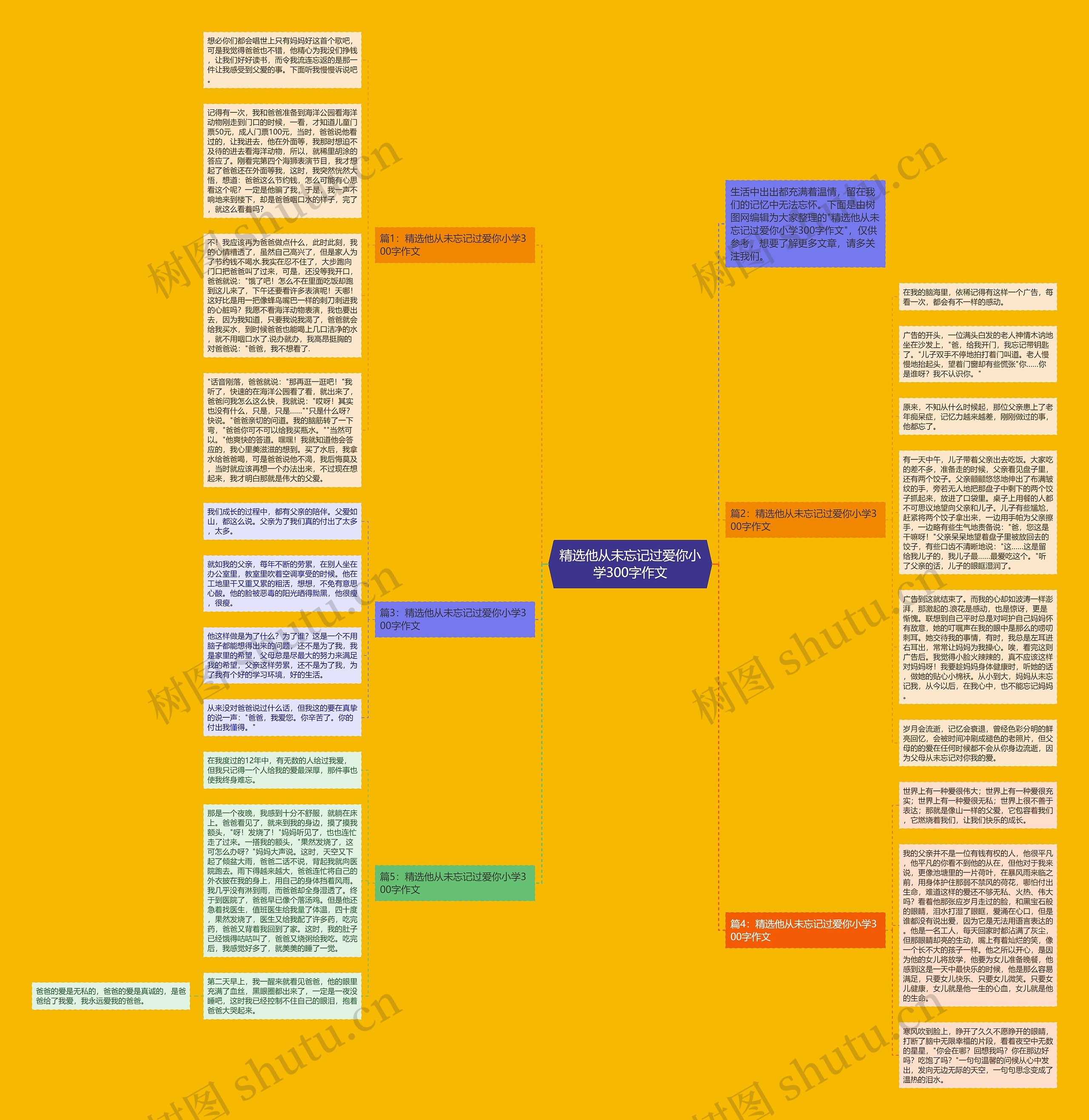 精选他从未忘记过爱你小学300字作文思维导图