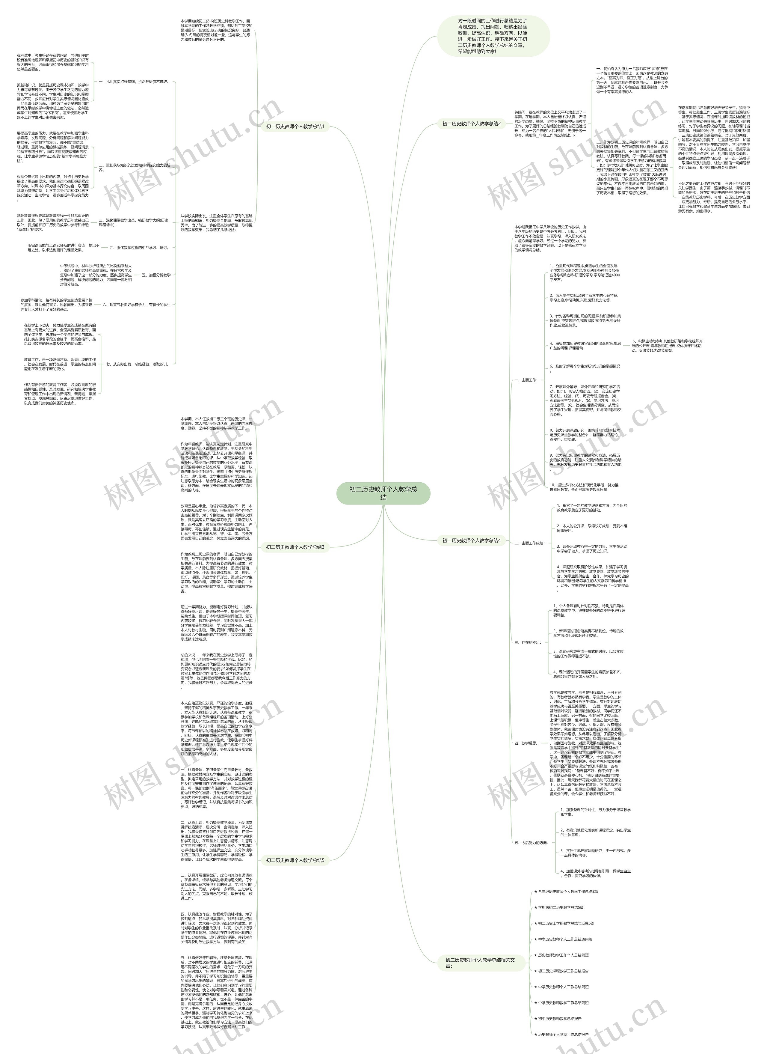 初二历史教师个人教学总结思维导图