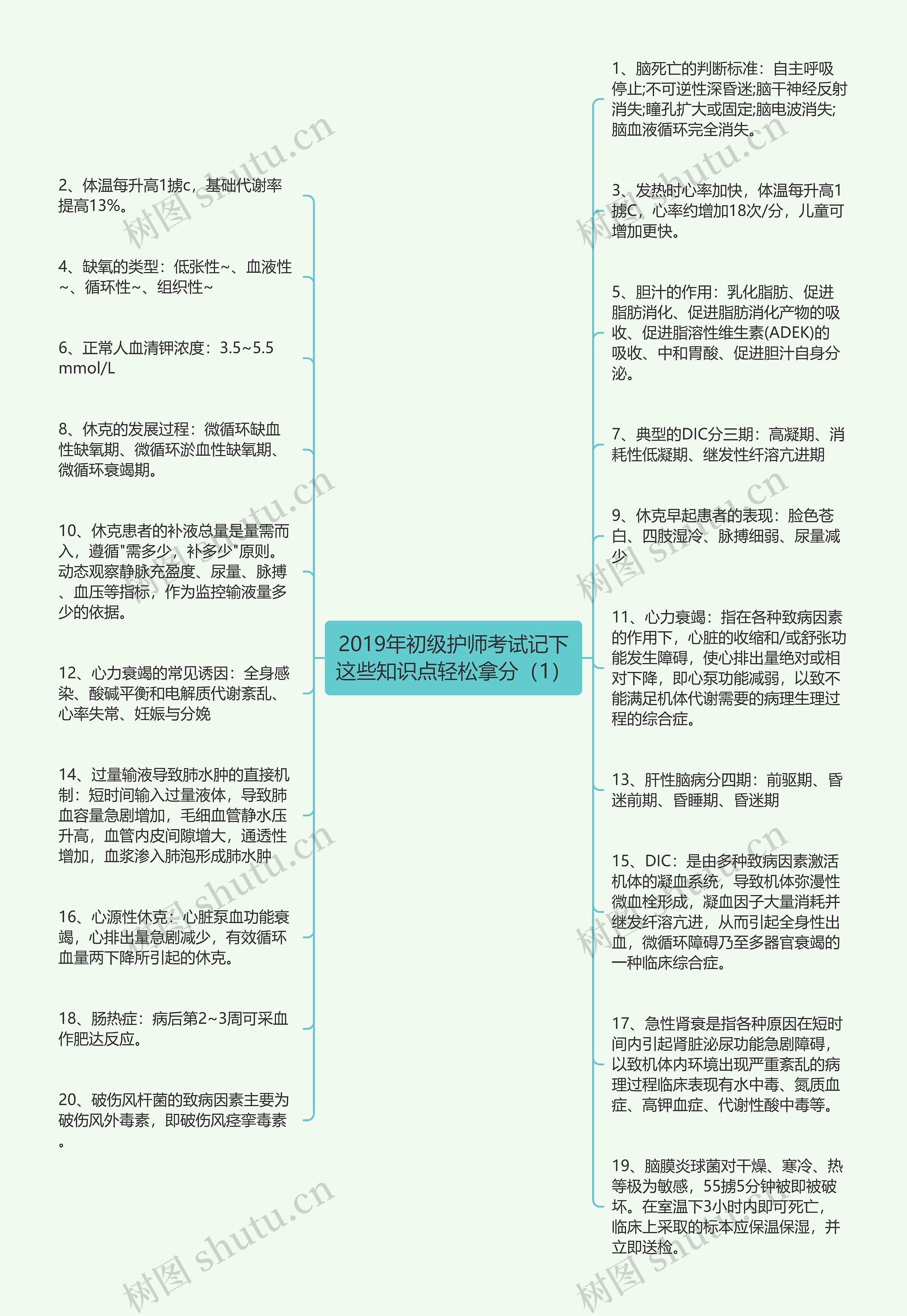 2019年初级护师考试记下这些知识点轻松拿分（1）