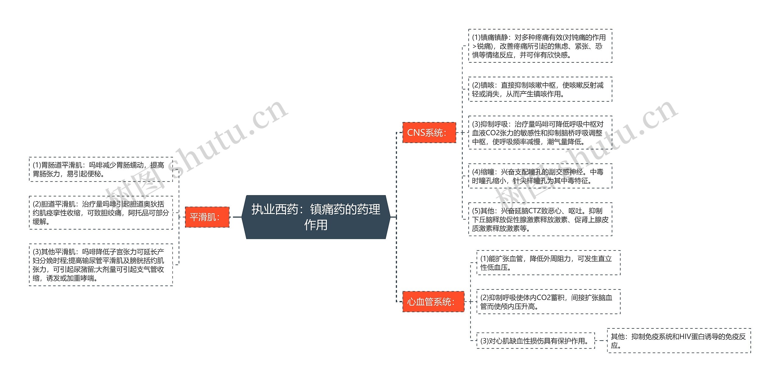 执业西药：镇痛药的药理作用思维导图