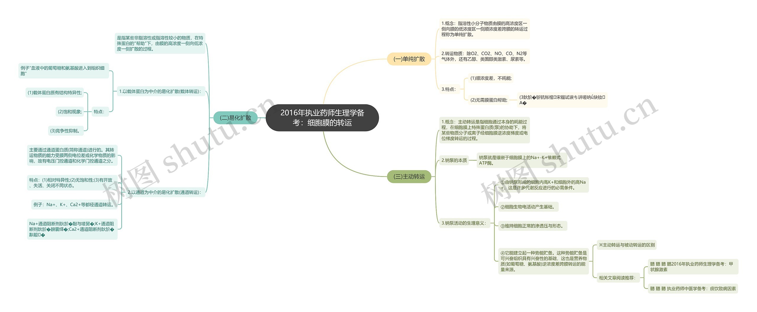 2016年执业药师生理学备考：细胞膜的转运思维导图