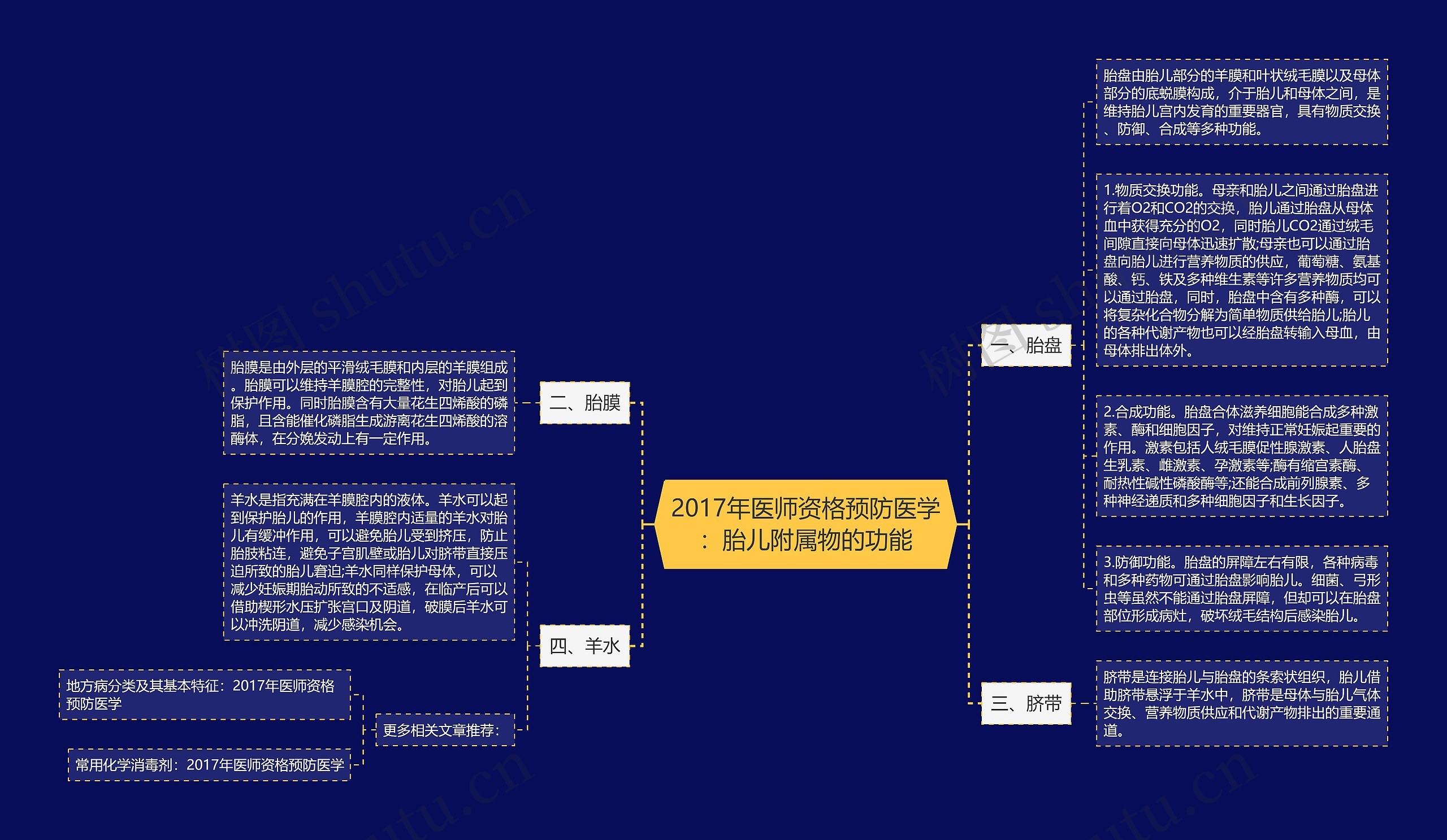 2017年医师资格预防医学：胎儿附属物的功能