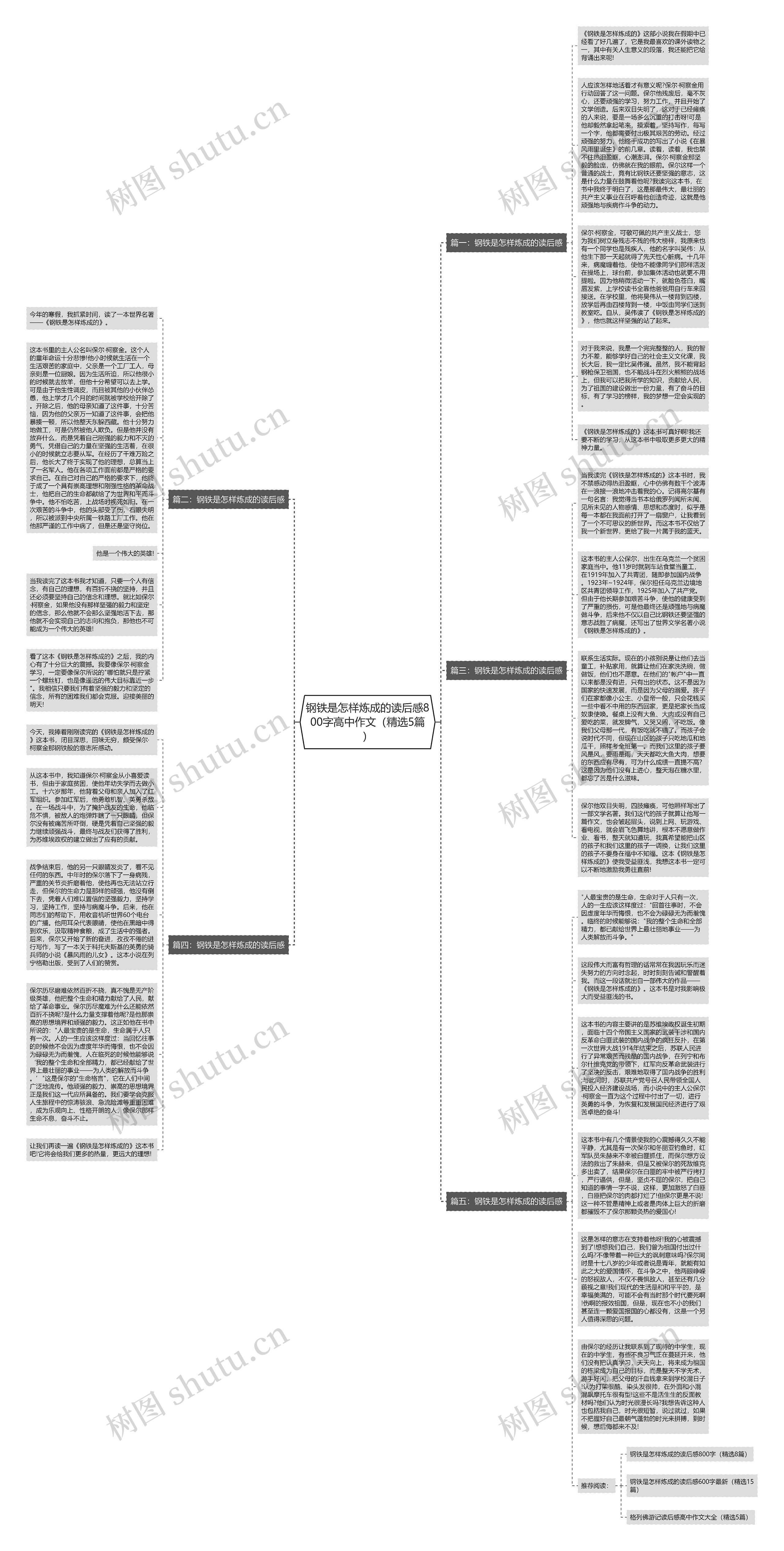 钢铁是怎样炼成的读后感800字高中作文（精选5篇）思维导图