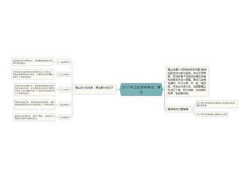 2017年卫生资格考试：臂丛