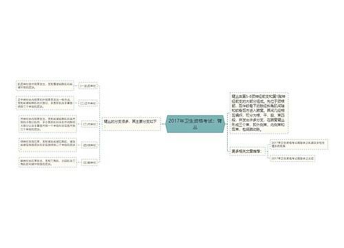 2017年卫生资格考试：臂丛