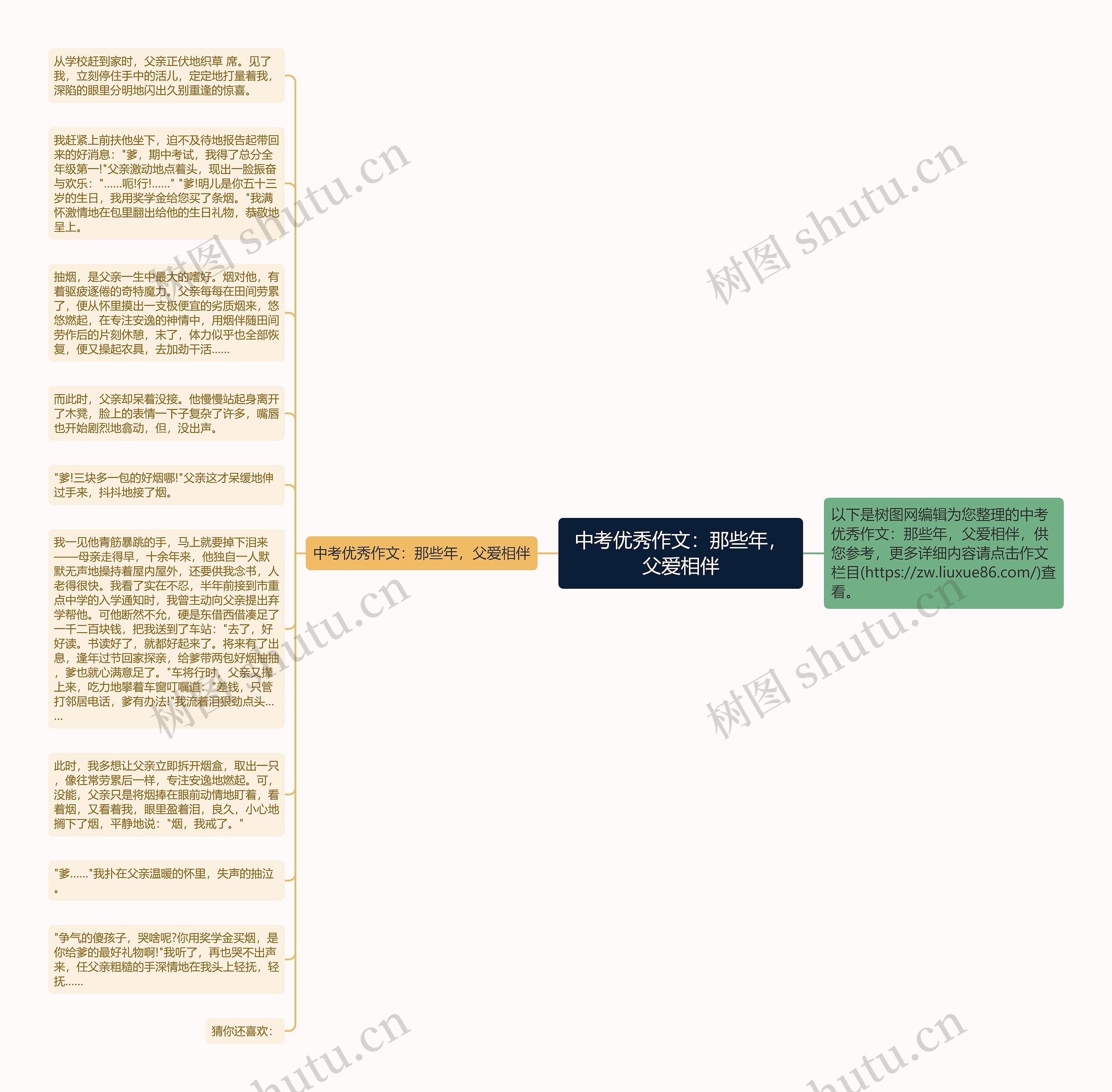 中考优秀作文：那些年，父爱相伴思维导图