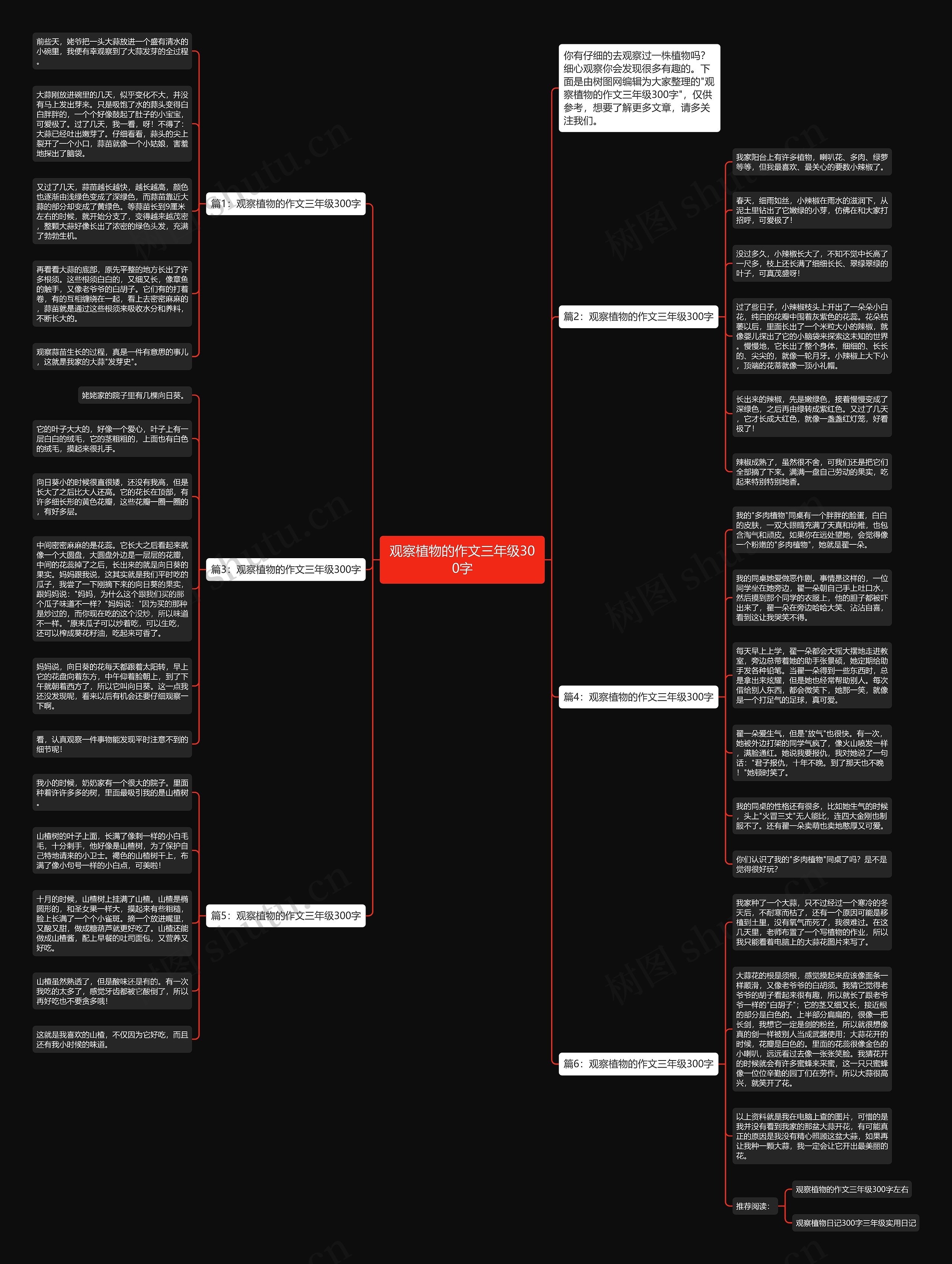 观察植物的作文三年级300字思维导图