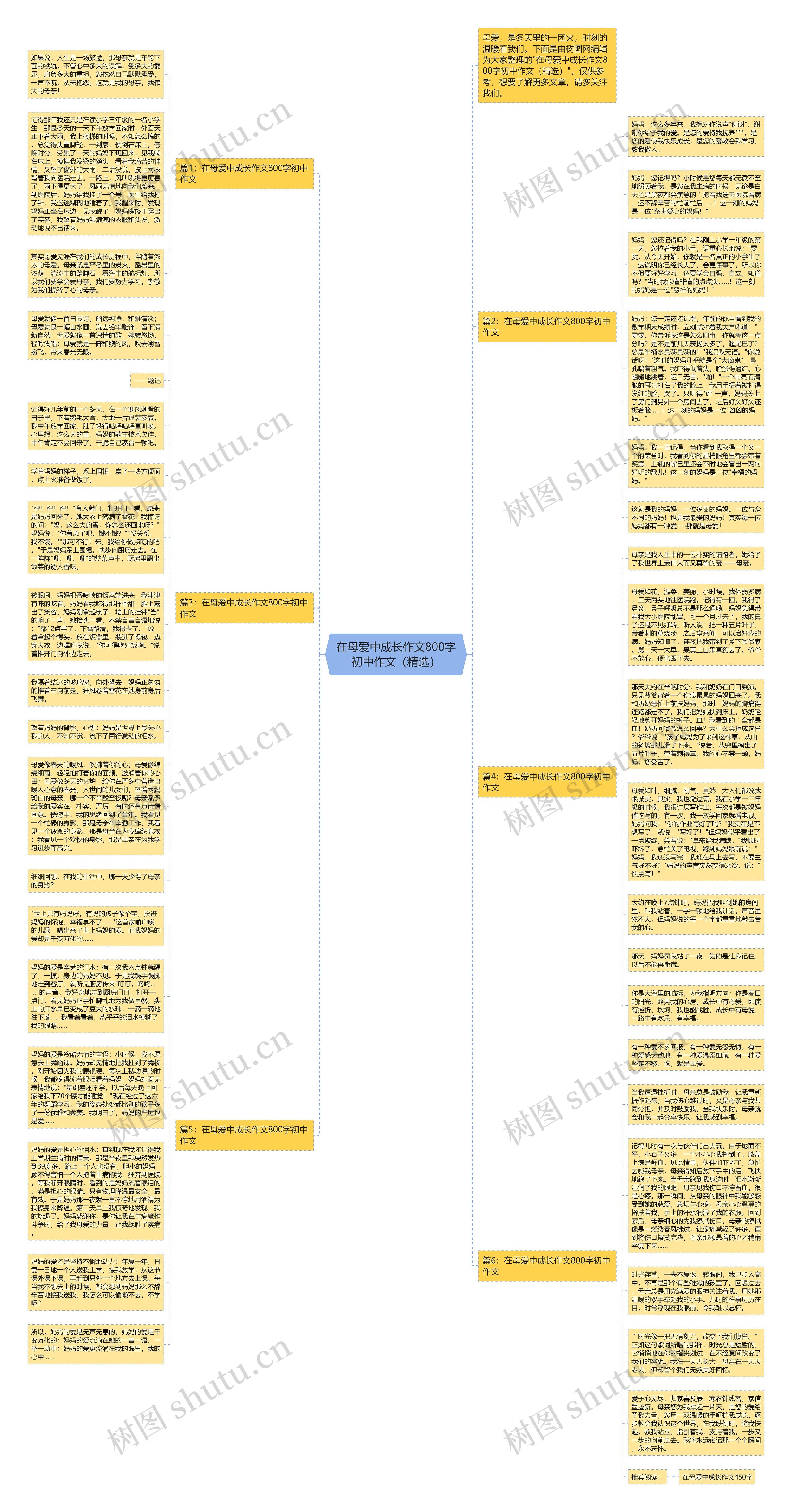 在母爱中成长作文800字初中作文（精选）思维导图